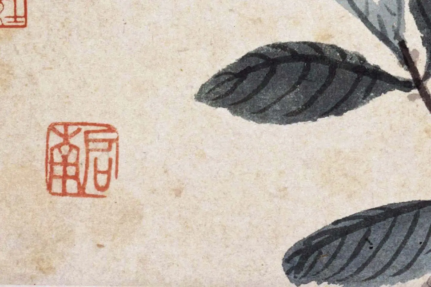 沈周花卉《栀子花》高清大图局部 (5)