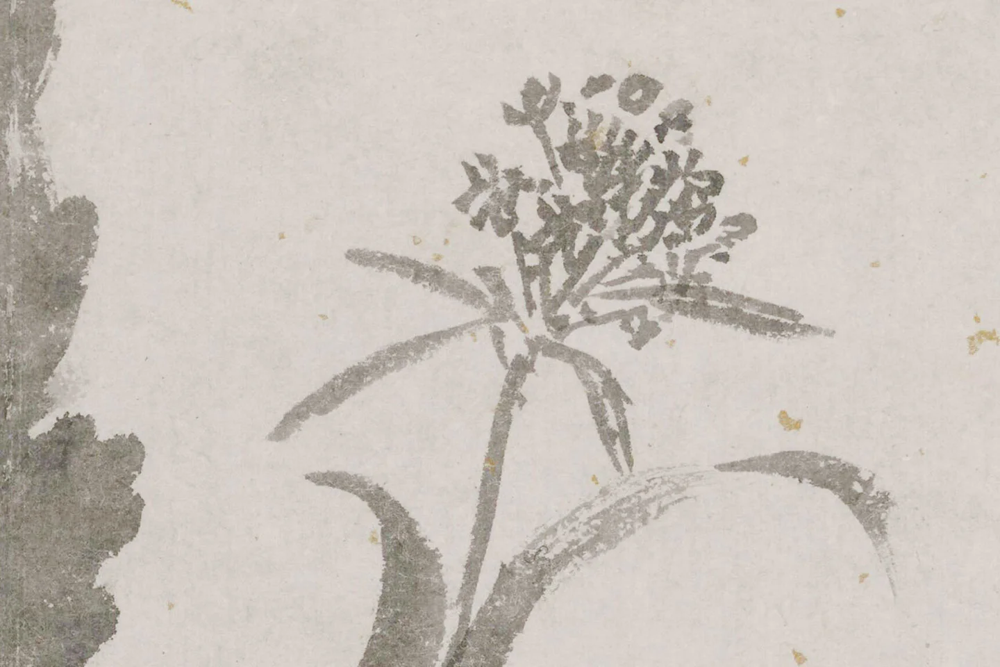 沈周《辛夷墨菜图》局部 (6)