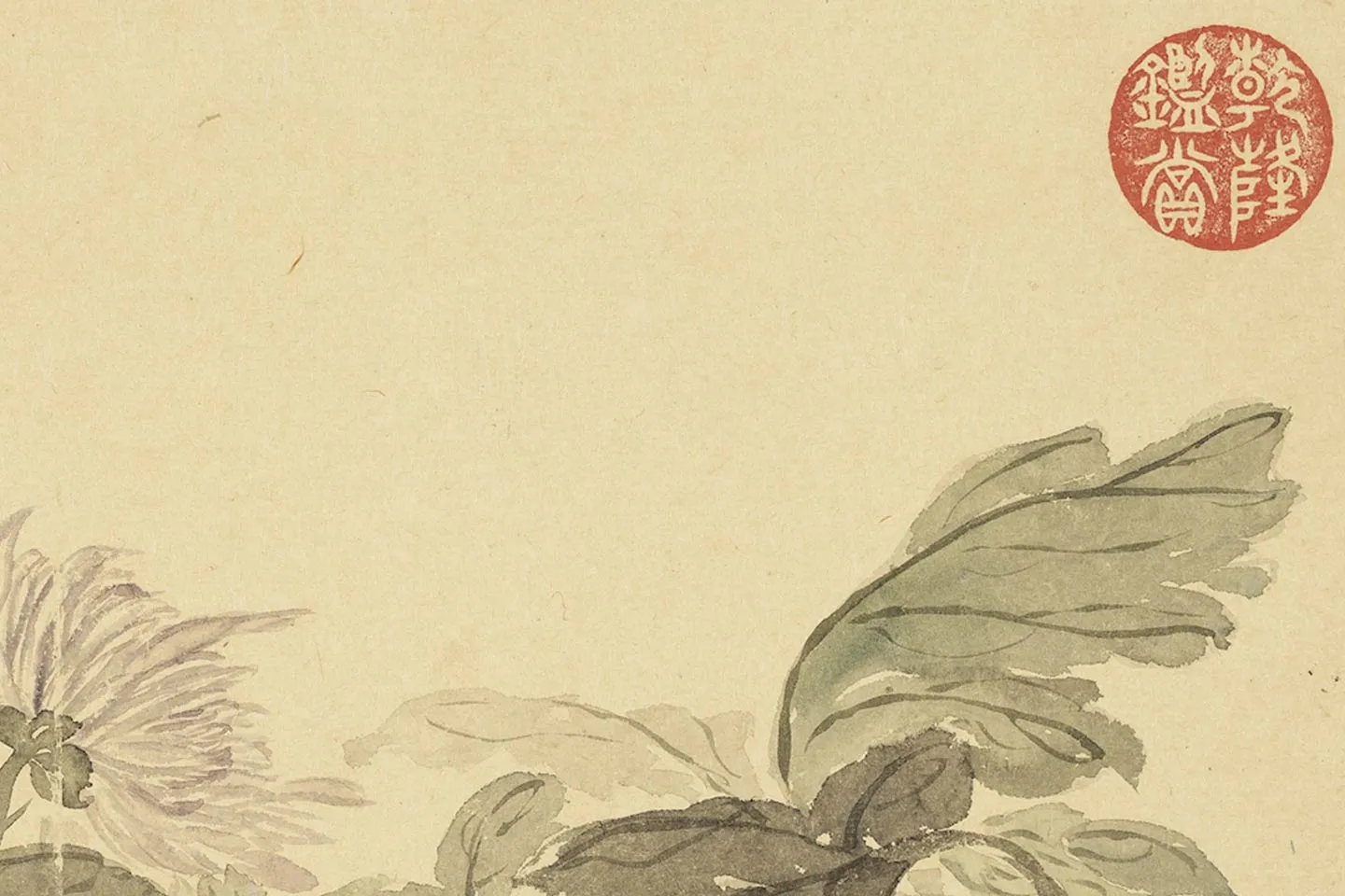 恽寿平花卉《菊花》局部 (2)