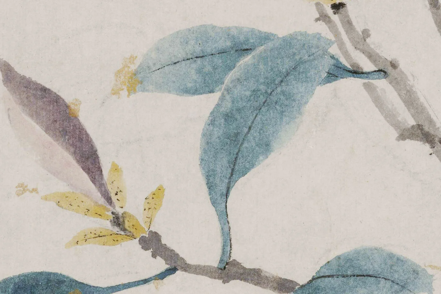 沈周《辛夷墨菜图》局部 (2)