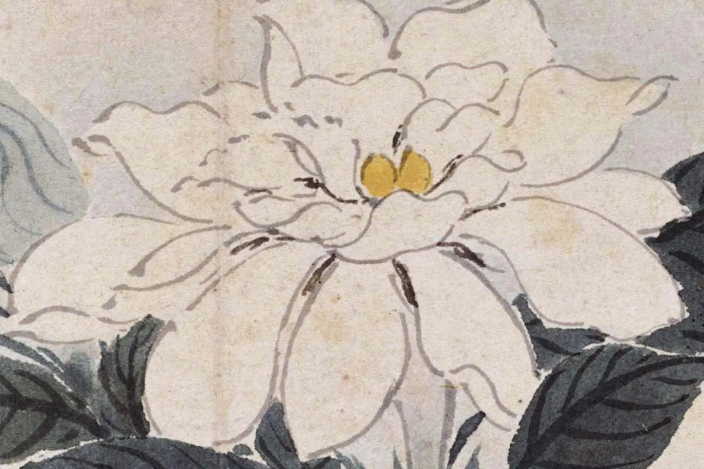 沈周花卉《栀子花》高清大图局部 (1)