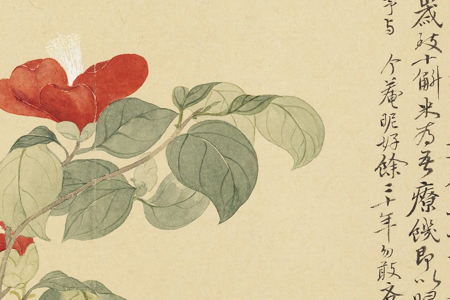 恽寿平花卉《山茶花》局部 (2)