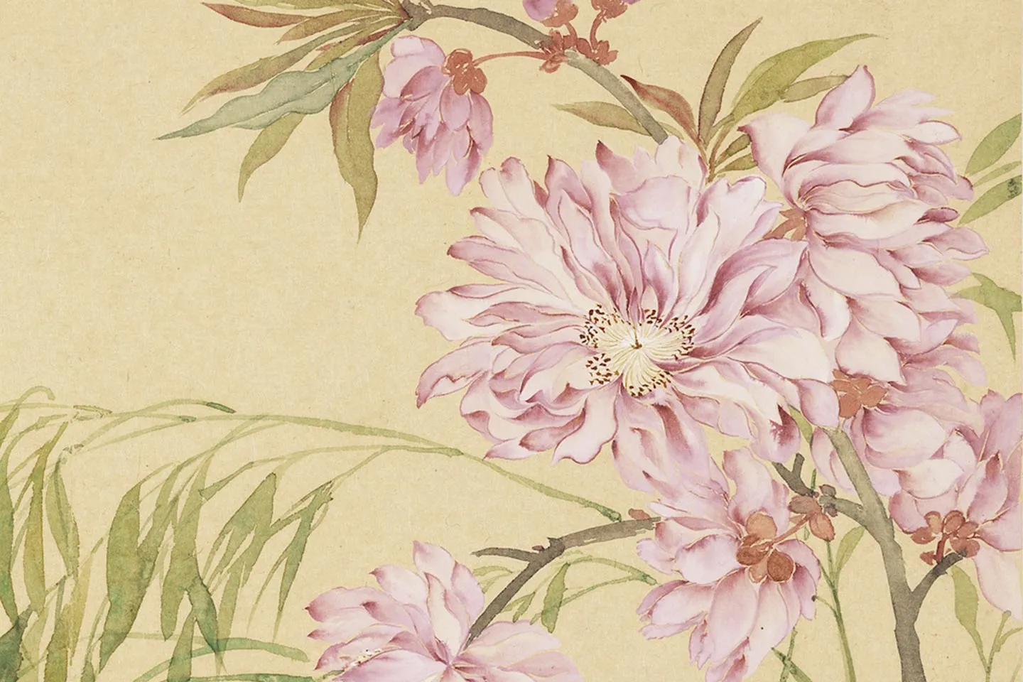 恽寿平临宋人花卉《春风图》局部 (2)