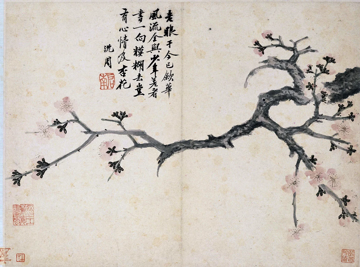 沈周《杏花图》页