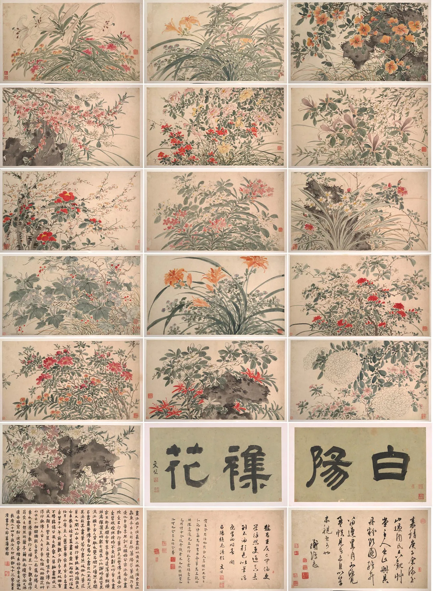 陈淳《杂花图》册