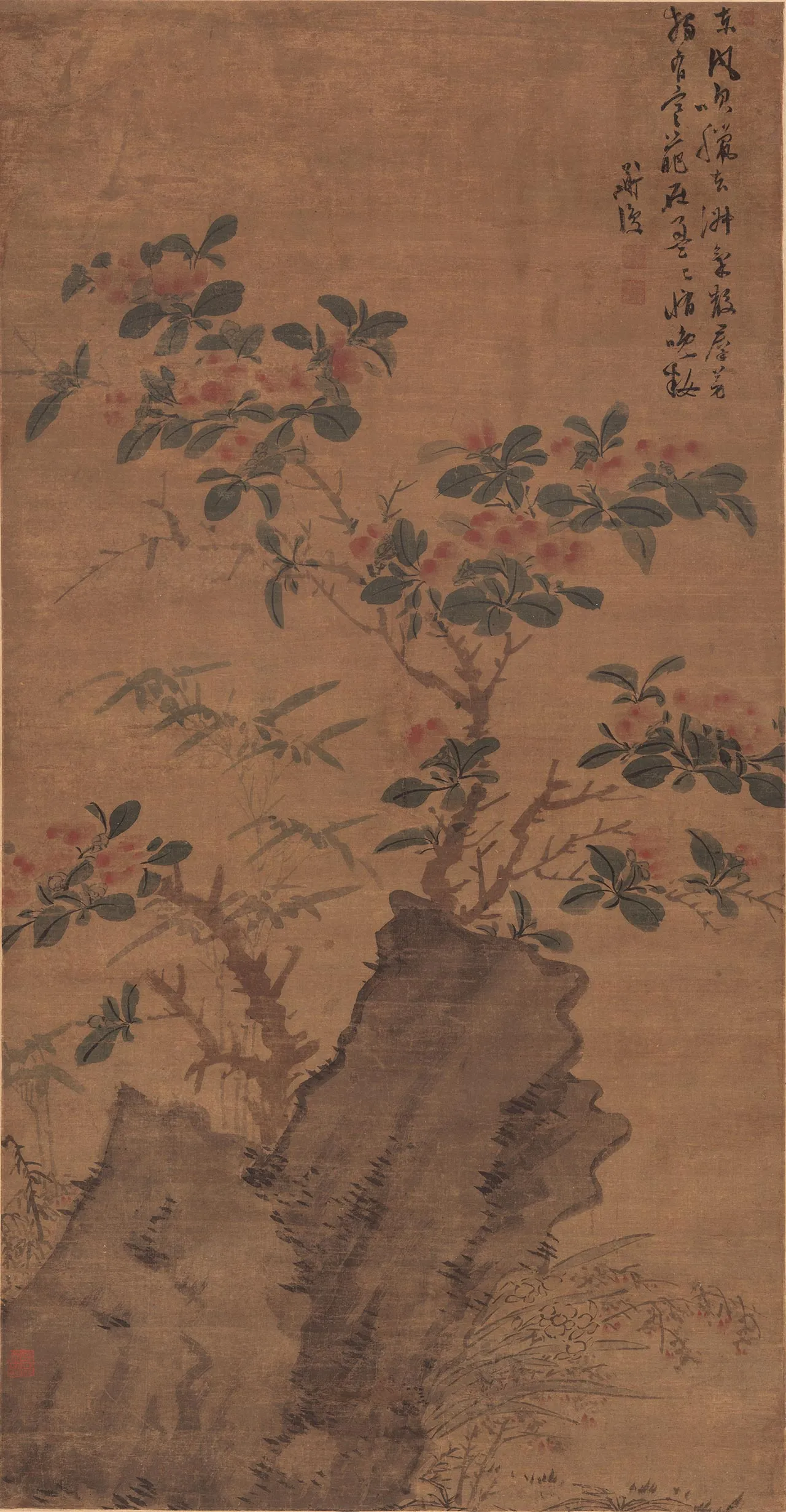 陈淳《山茶花图》轴