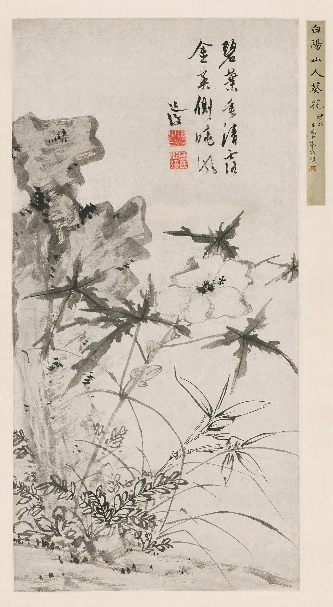 陈淳水墨花卉《葵石图》