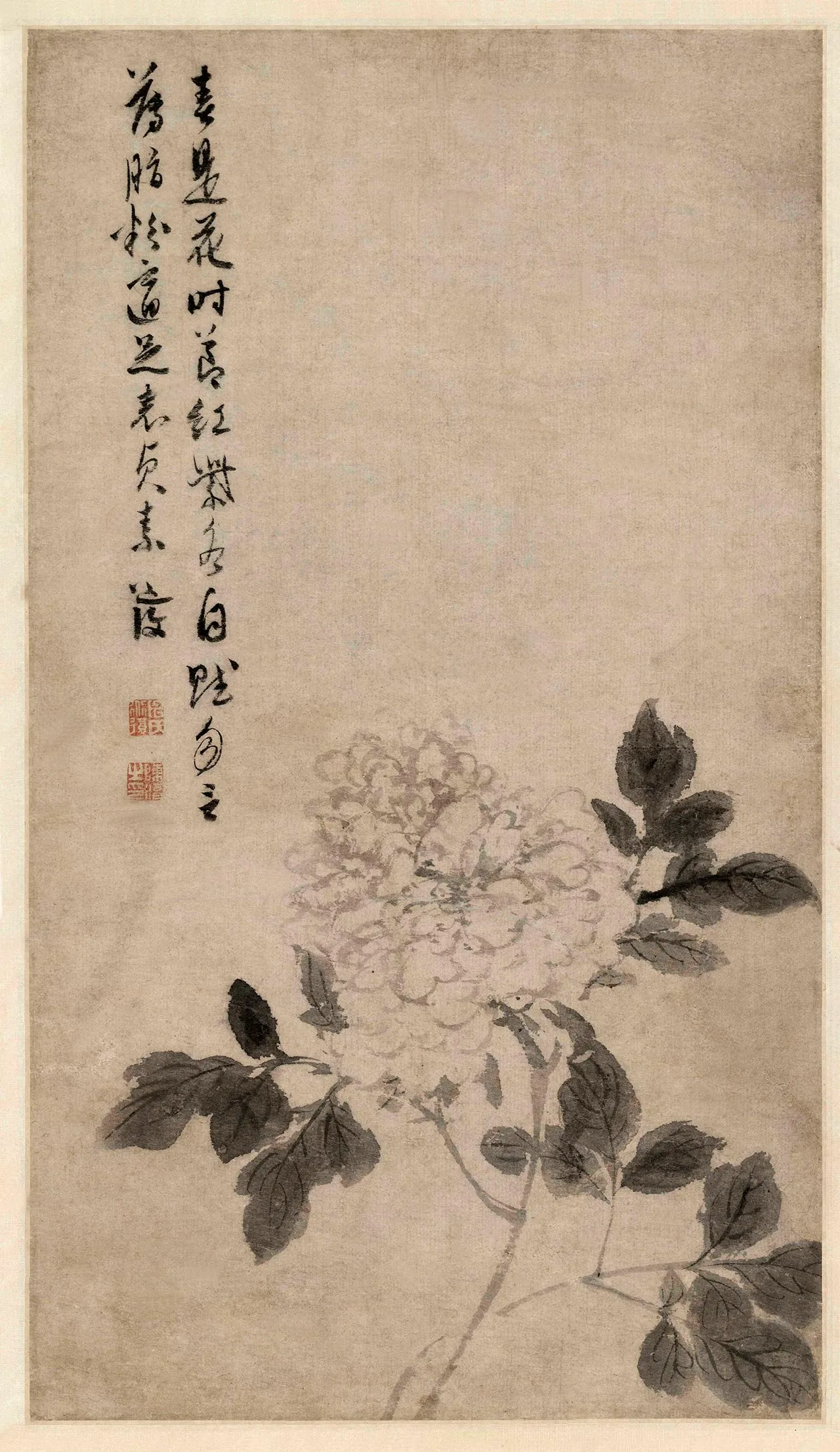 明陈淳《牡丹花卉图》轴