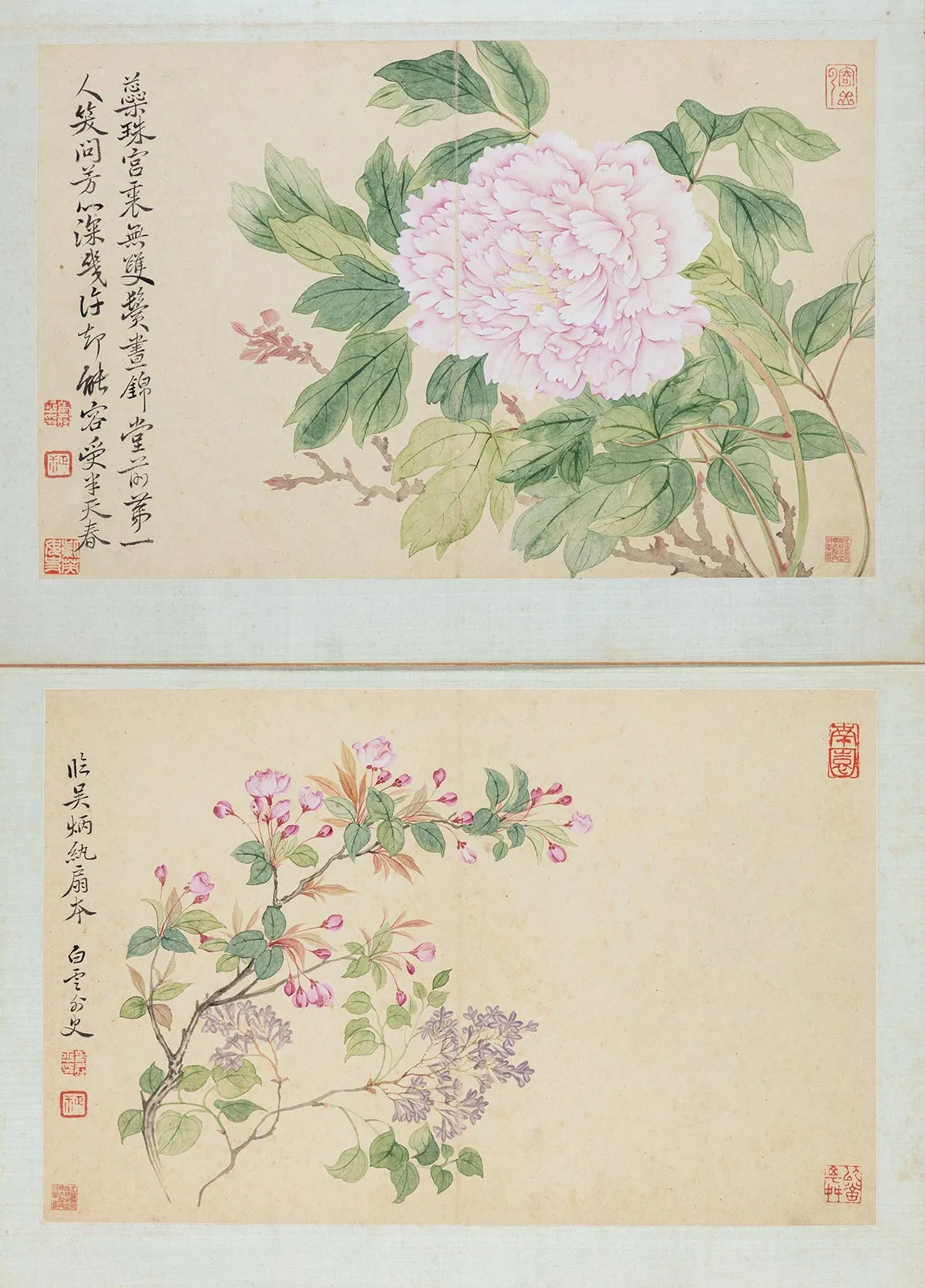 恽寿平花卉册 (3)