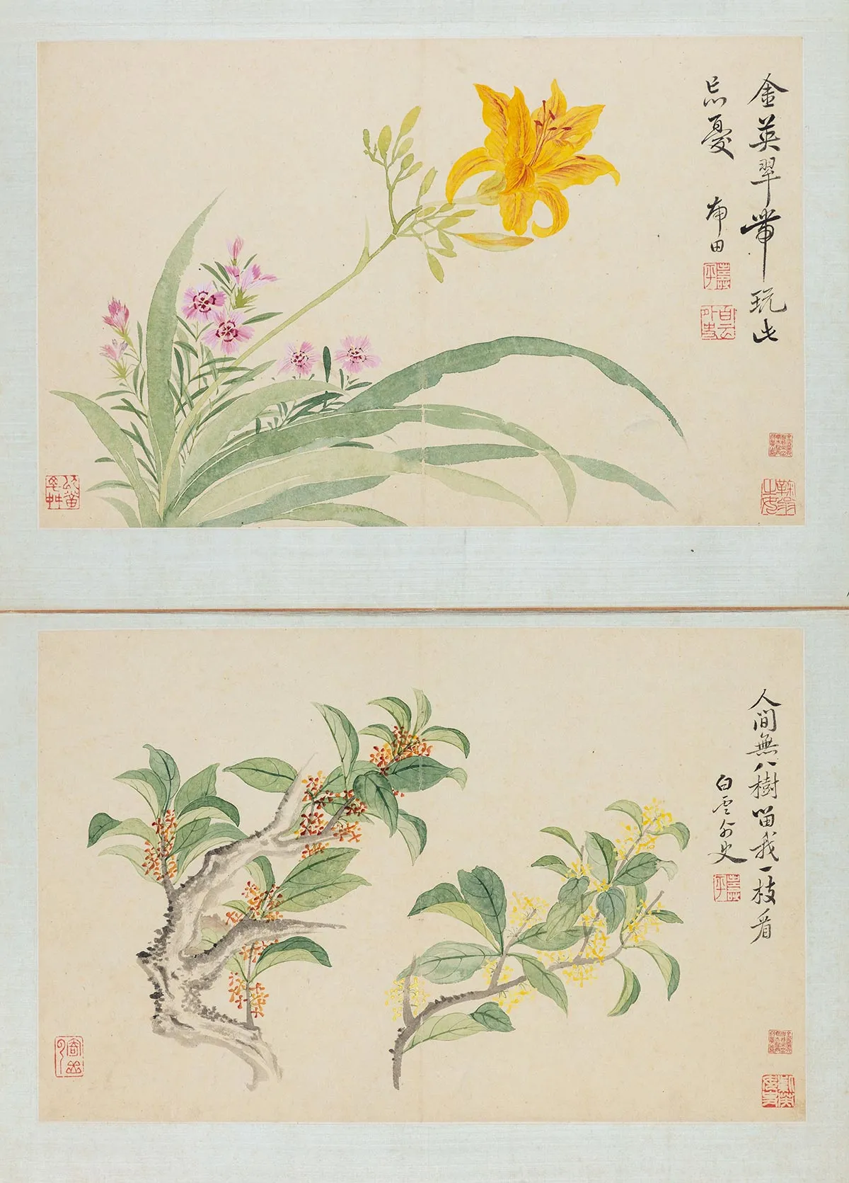 恽寿平花卉册 (5)