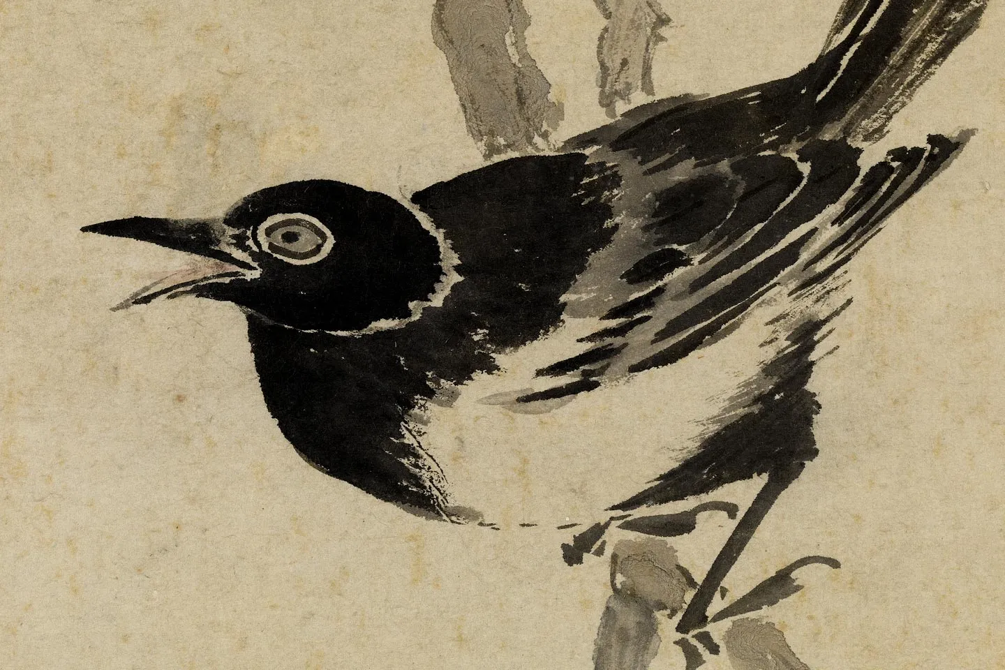 明钱谷花鸟画《画杏花喜鹊图》局部 (1)