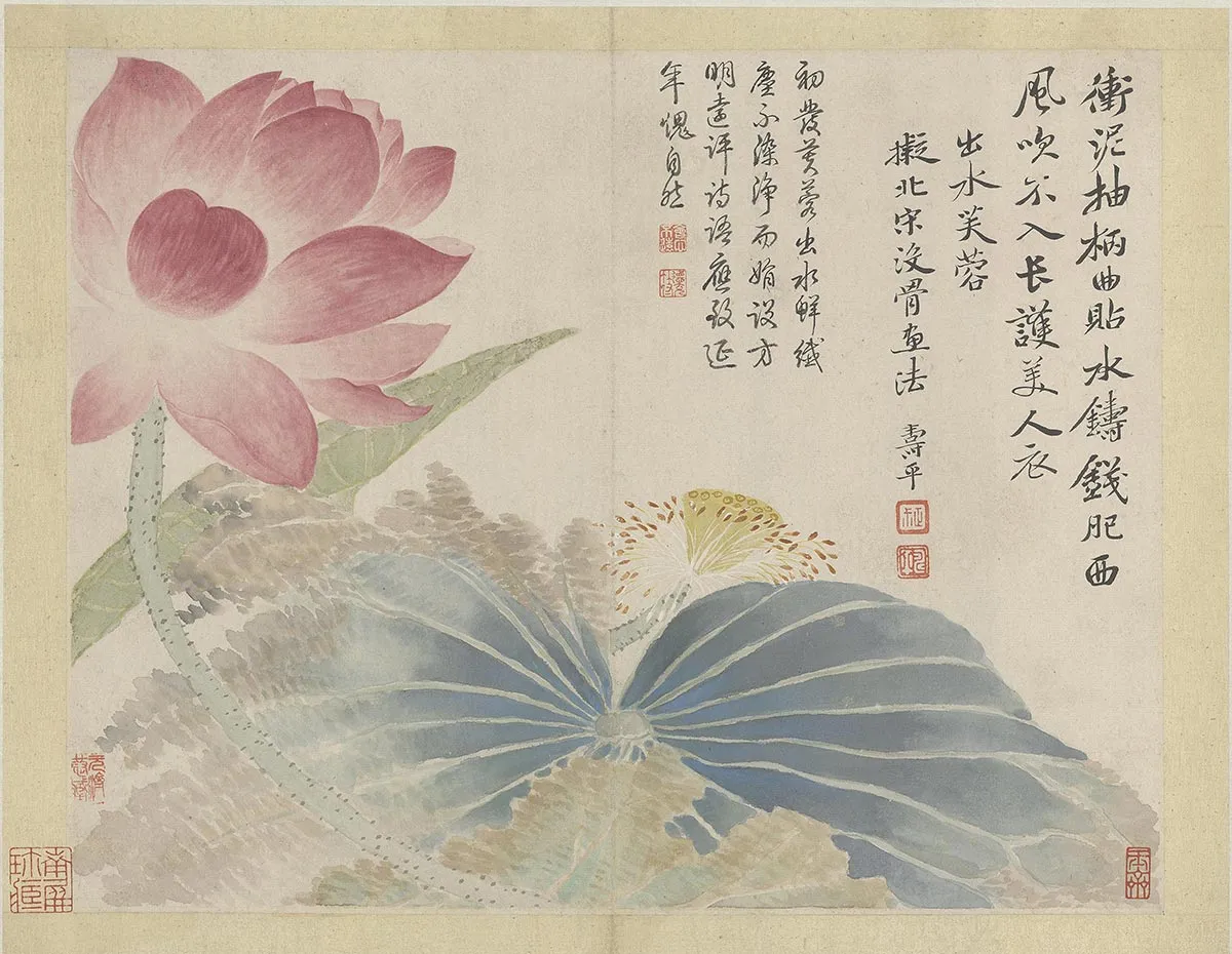 恽寿平花卉《出水芙蓉图》