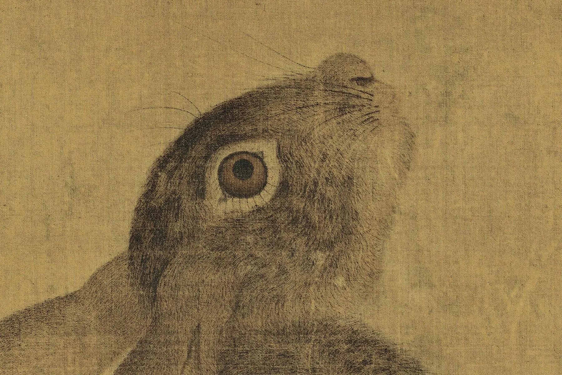 崔白《双喜图》超高清大图局部 (2)