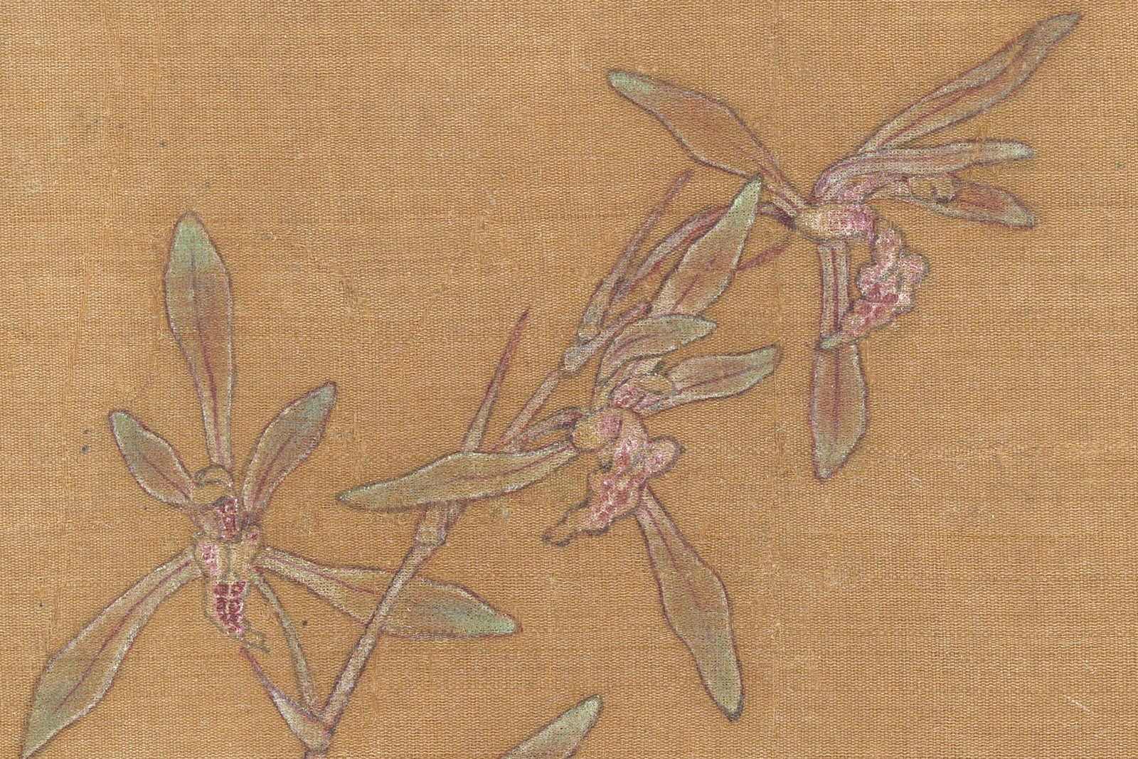 南宋马麟花卉画《兰花图》局部 (1)