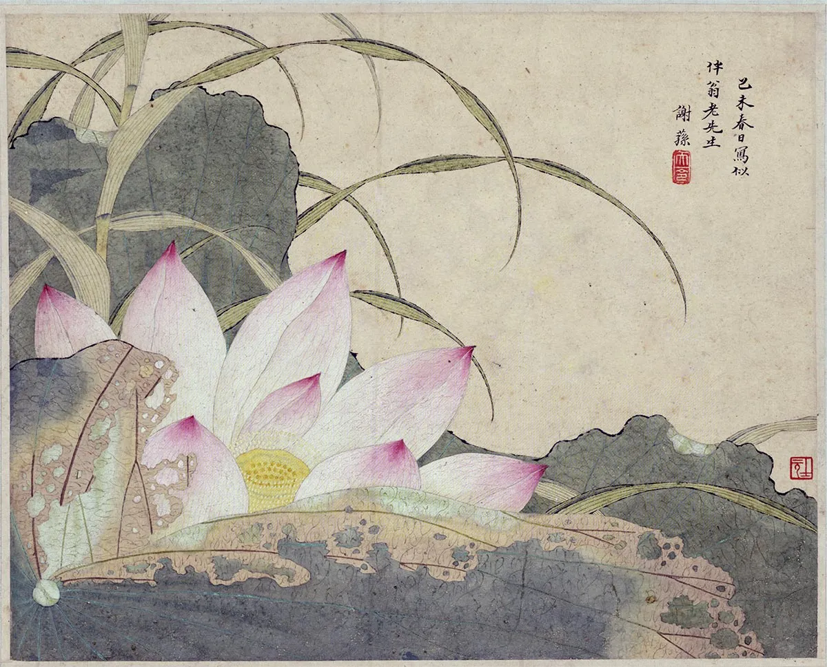 谢荪《荷花图》