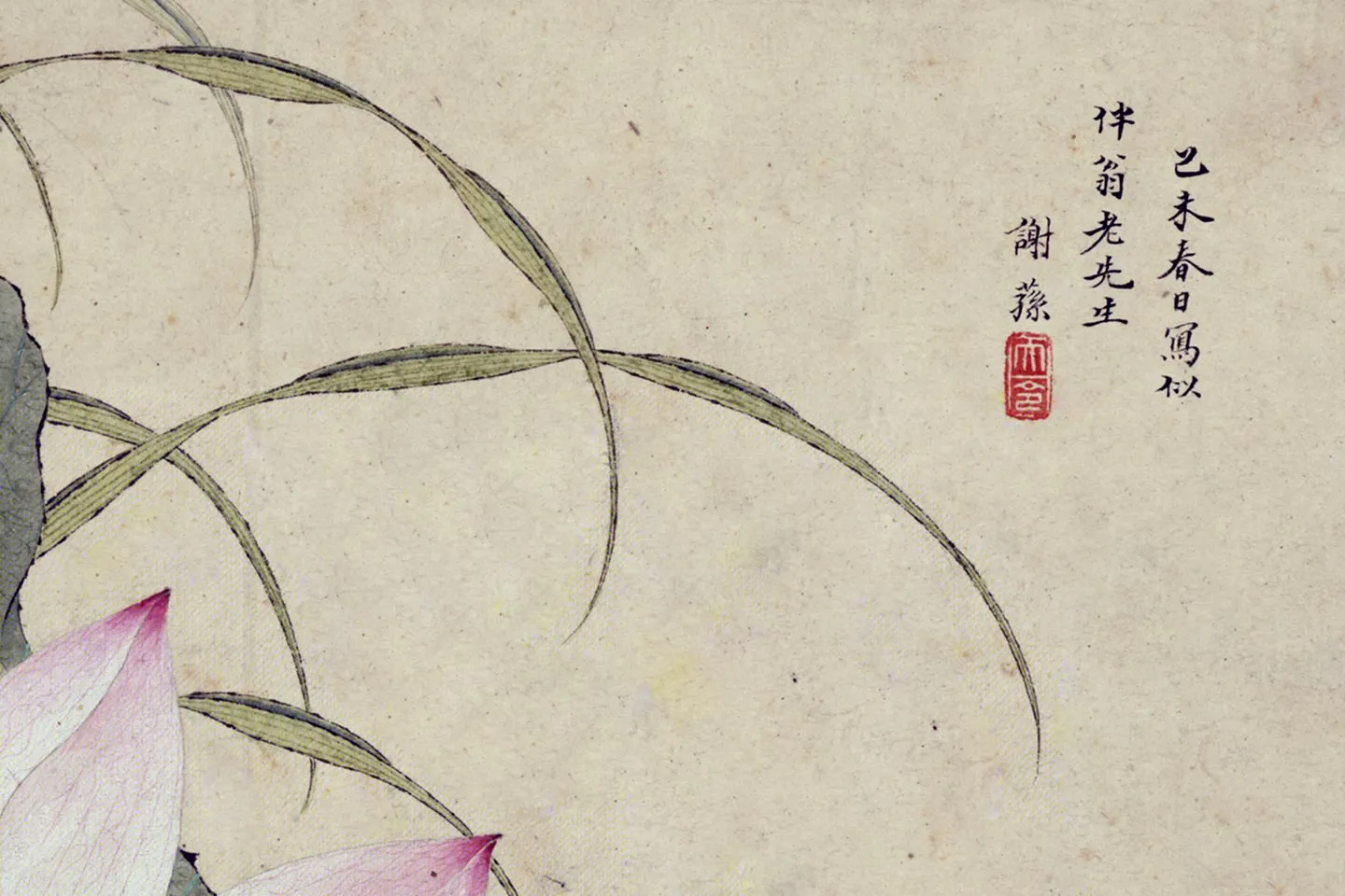 谢荪《荷花图》局部 (1)