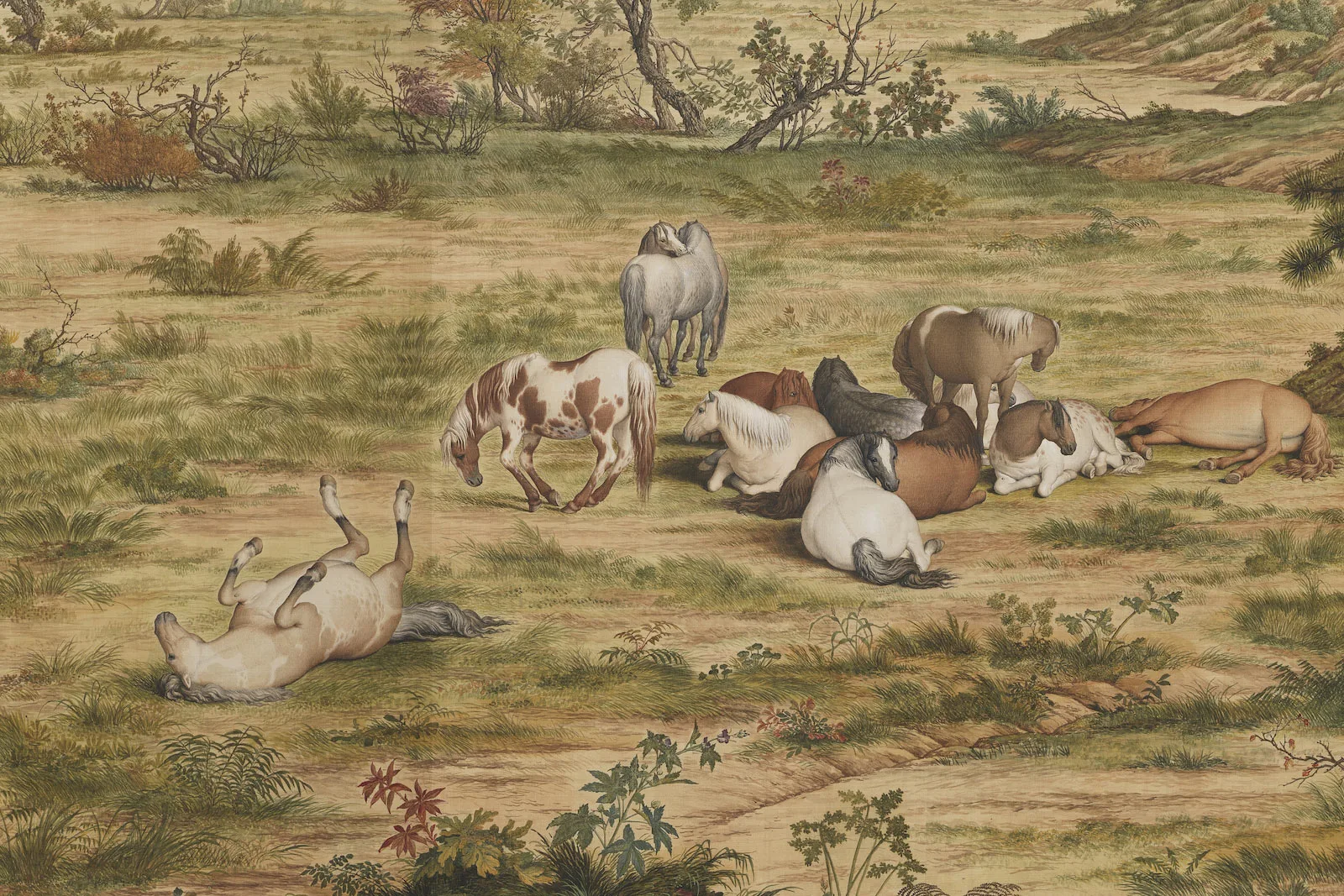 清郎世宁《百骏图》局部 (2)