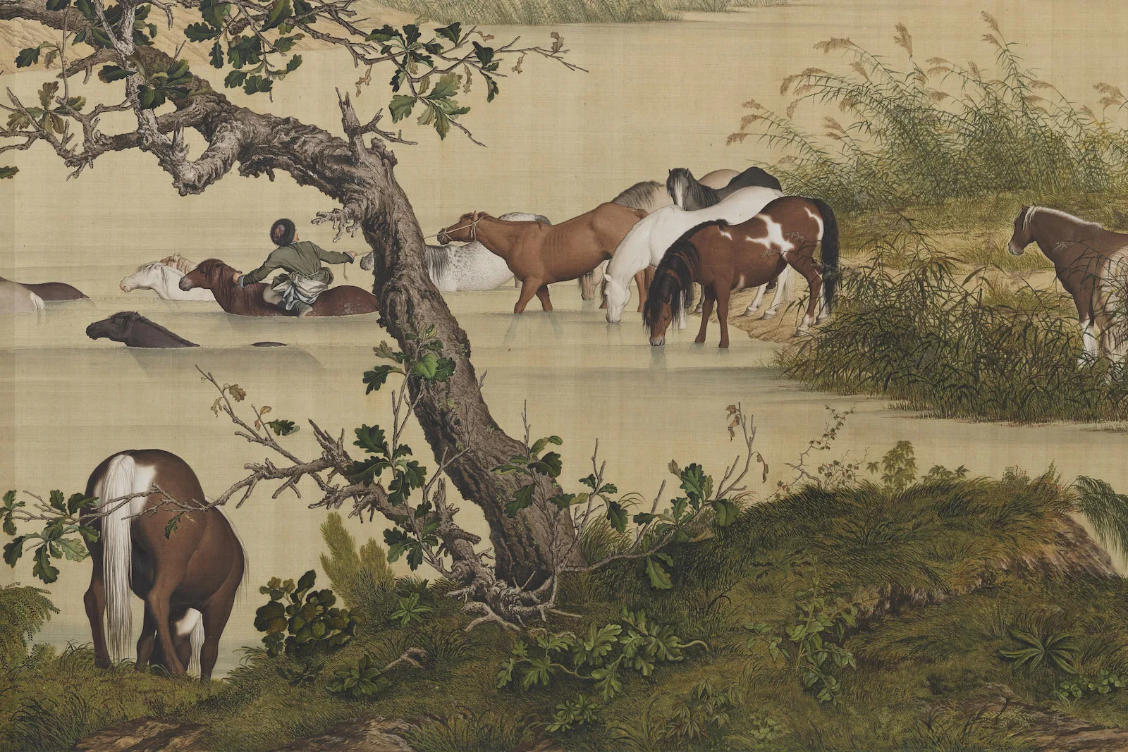 清郎世宁《百骏图》局部 (7)