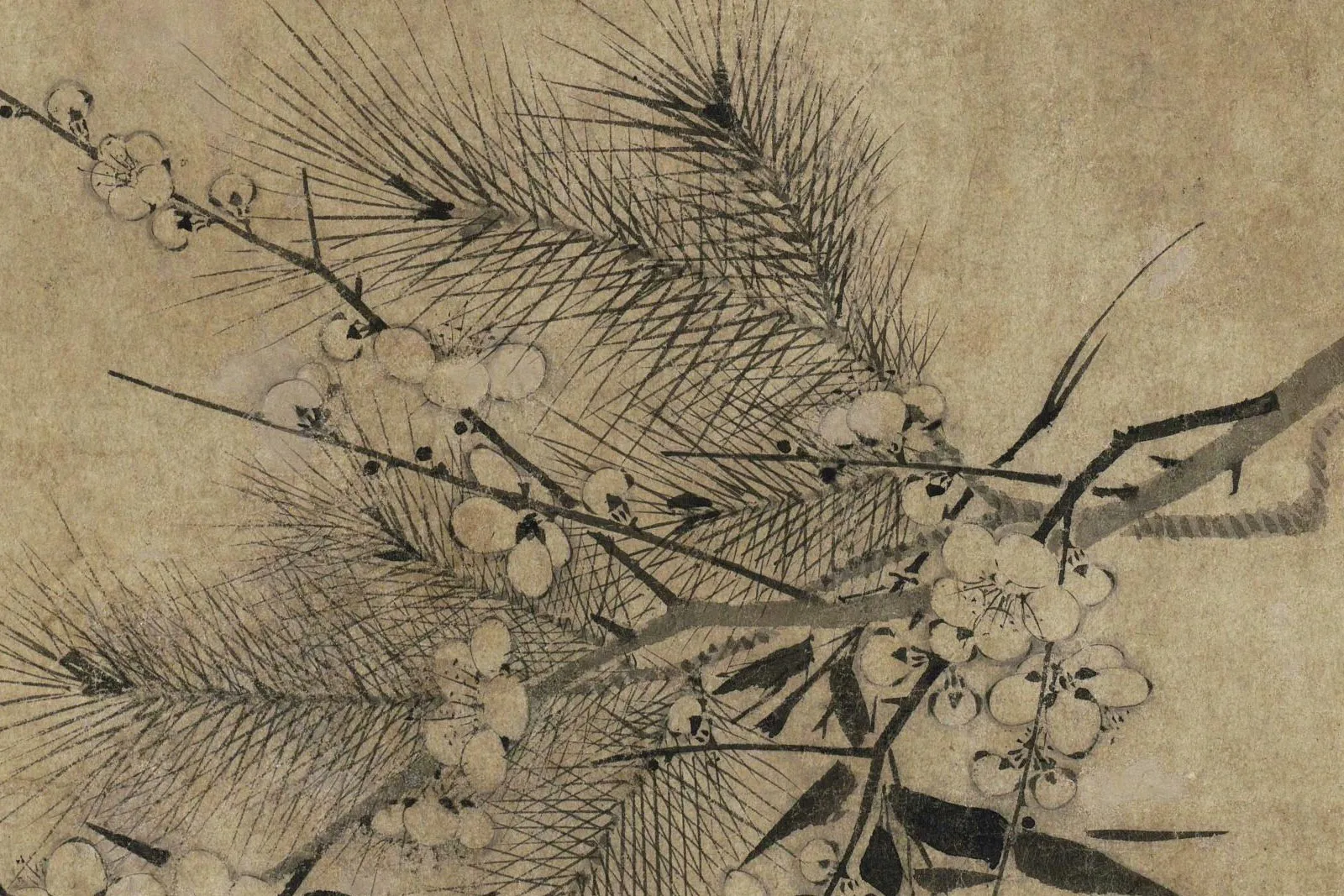 宋赵孟坚《岁寒三友图》局部-1