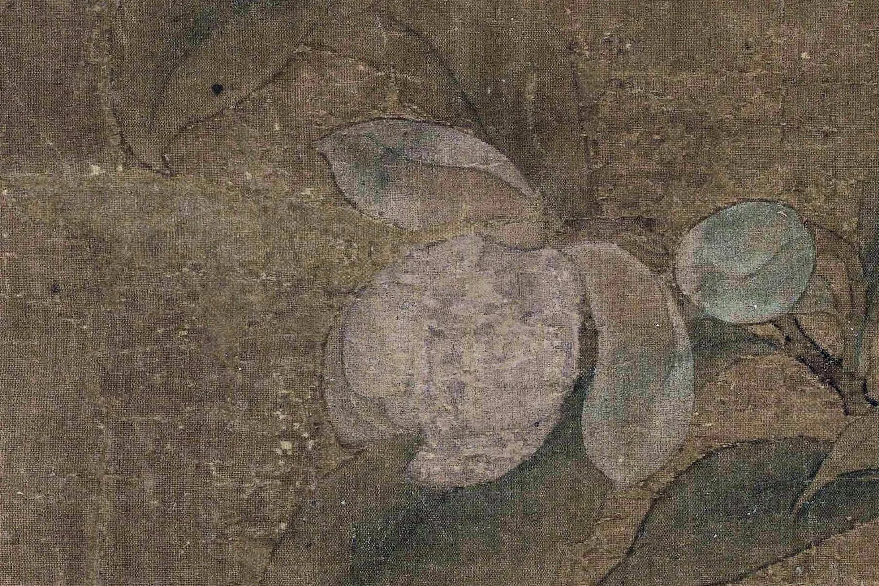 南宋李迪《无花果图》局部 (1)