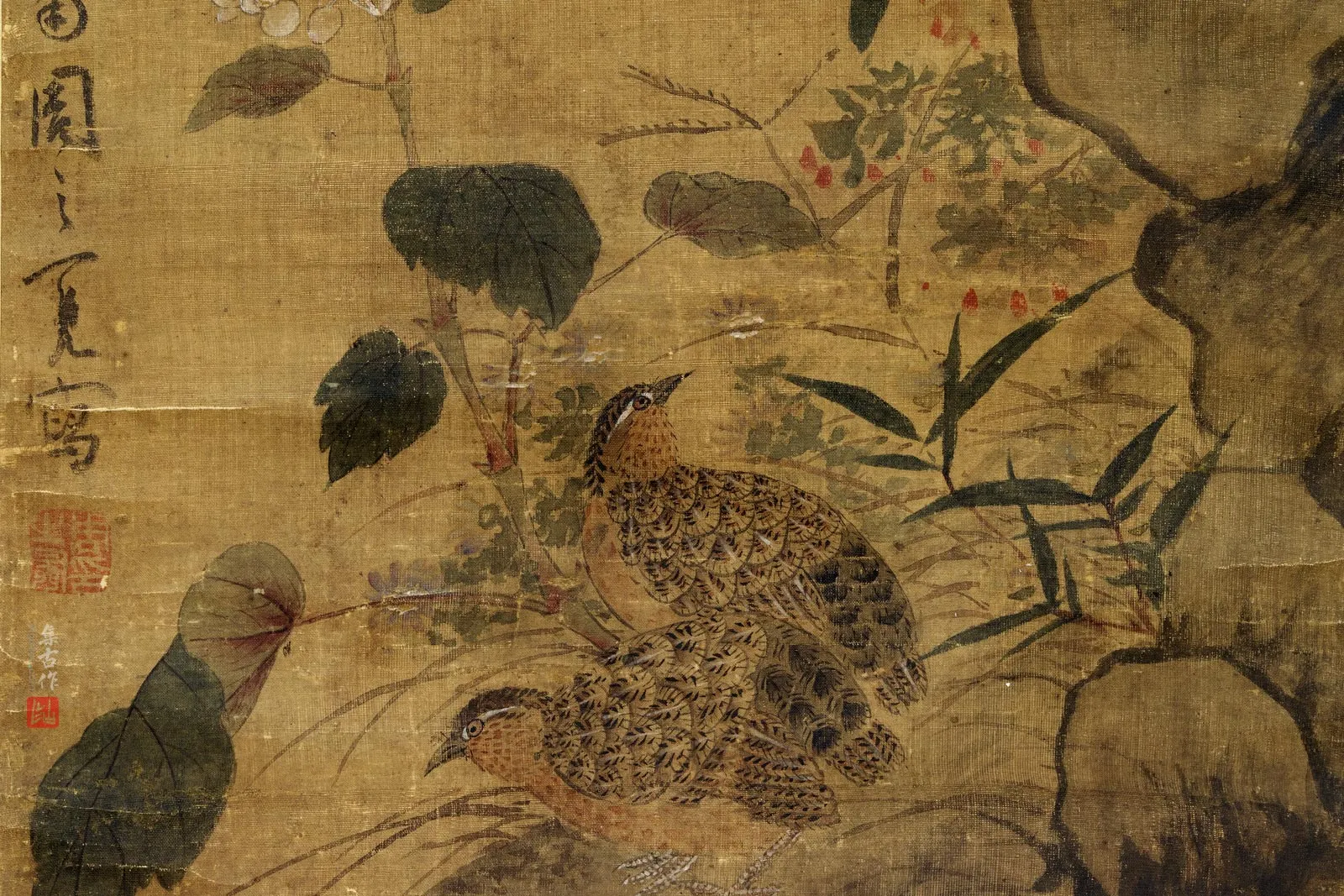 周之冕《花竹鹌鹑图》局部 (1)