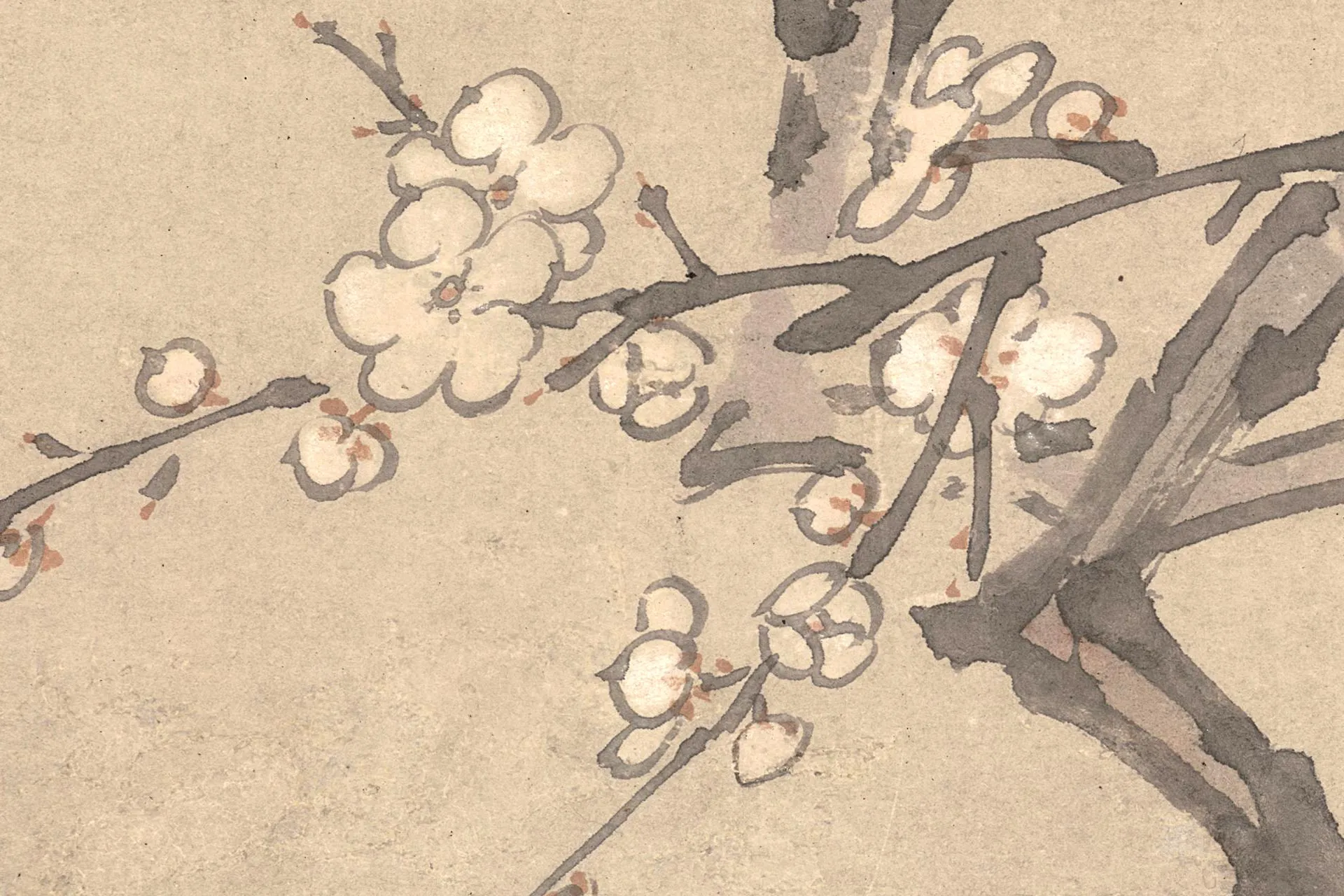 周之冕花鸟画《梅花野雉图》高清大图局部 (6)
