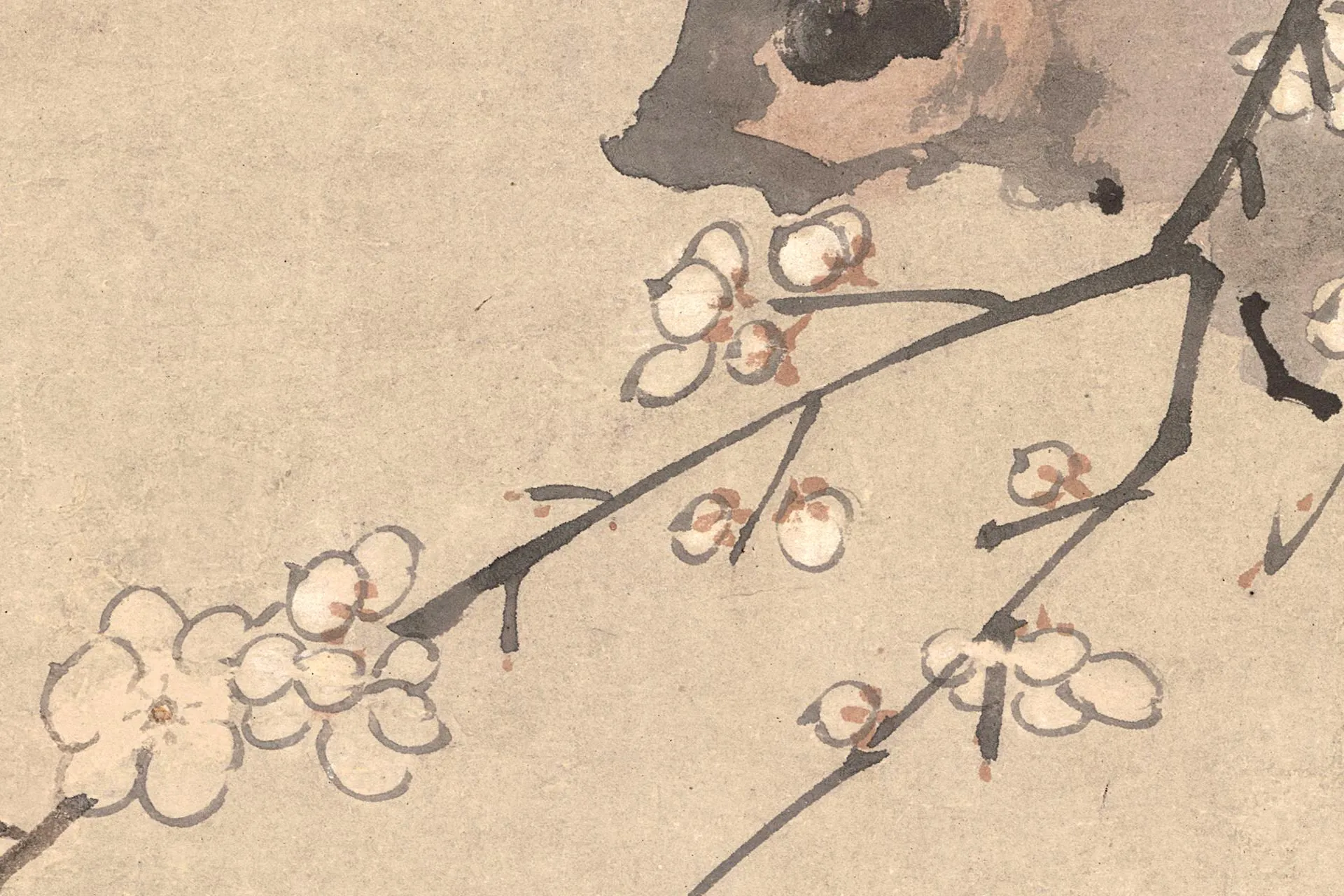 周之冕花鸟画《梅花野雉图》高清大图局部 (5)