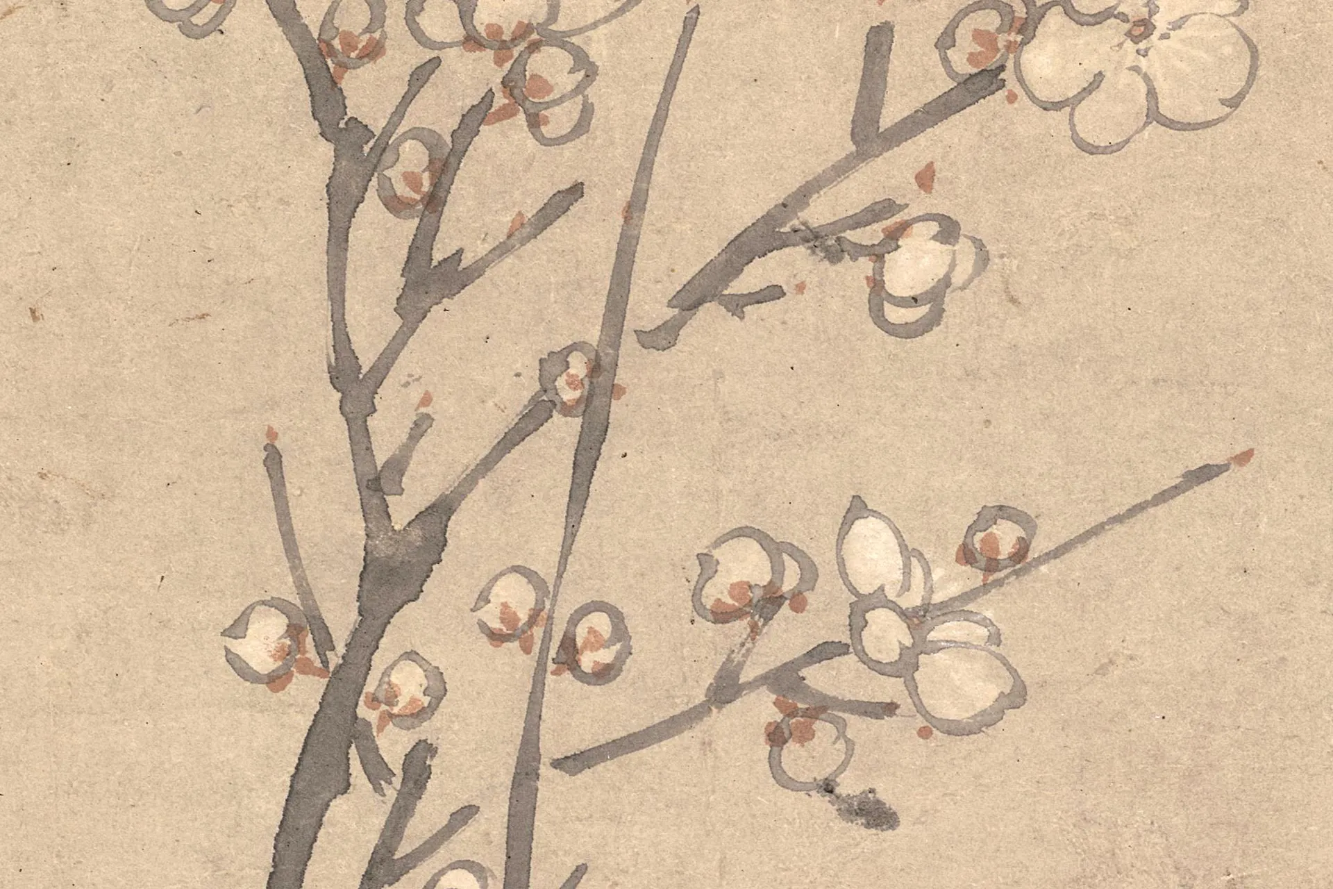 周之冕花鸟画《梅花野雉图》高清大图局部 (7)