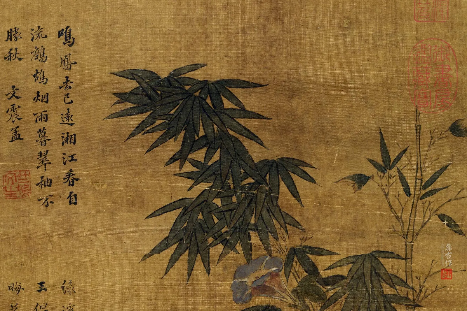 周之冕《花竹鹌鹑图》局部 (5)