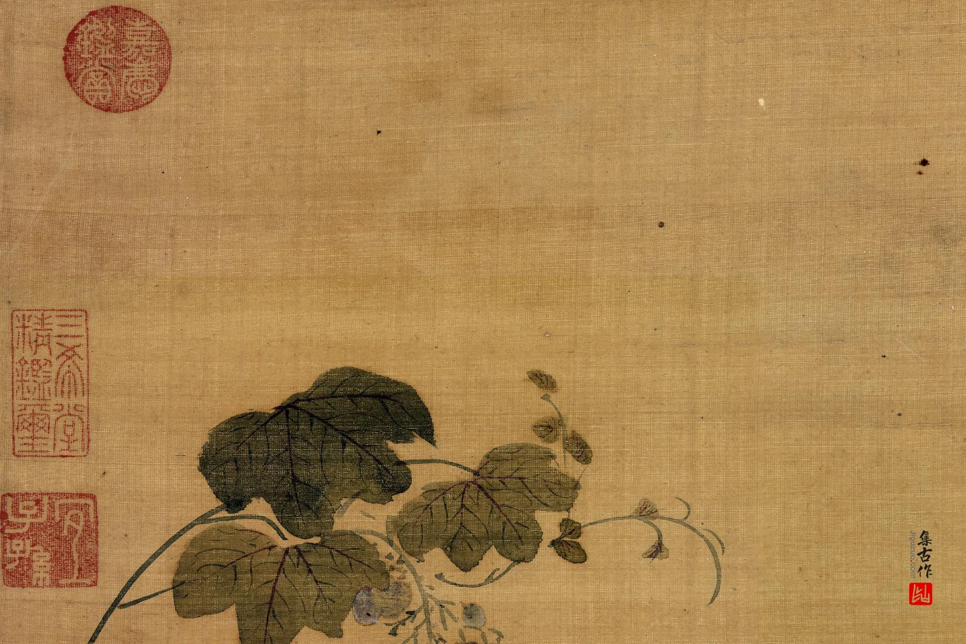 周之冕《画葡萄松鼠图》局部 (1)