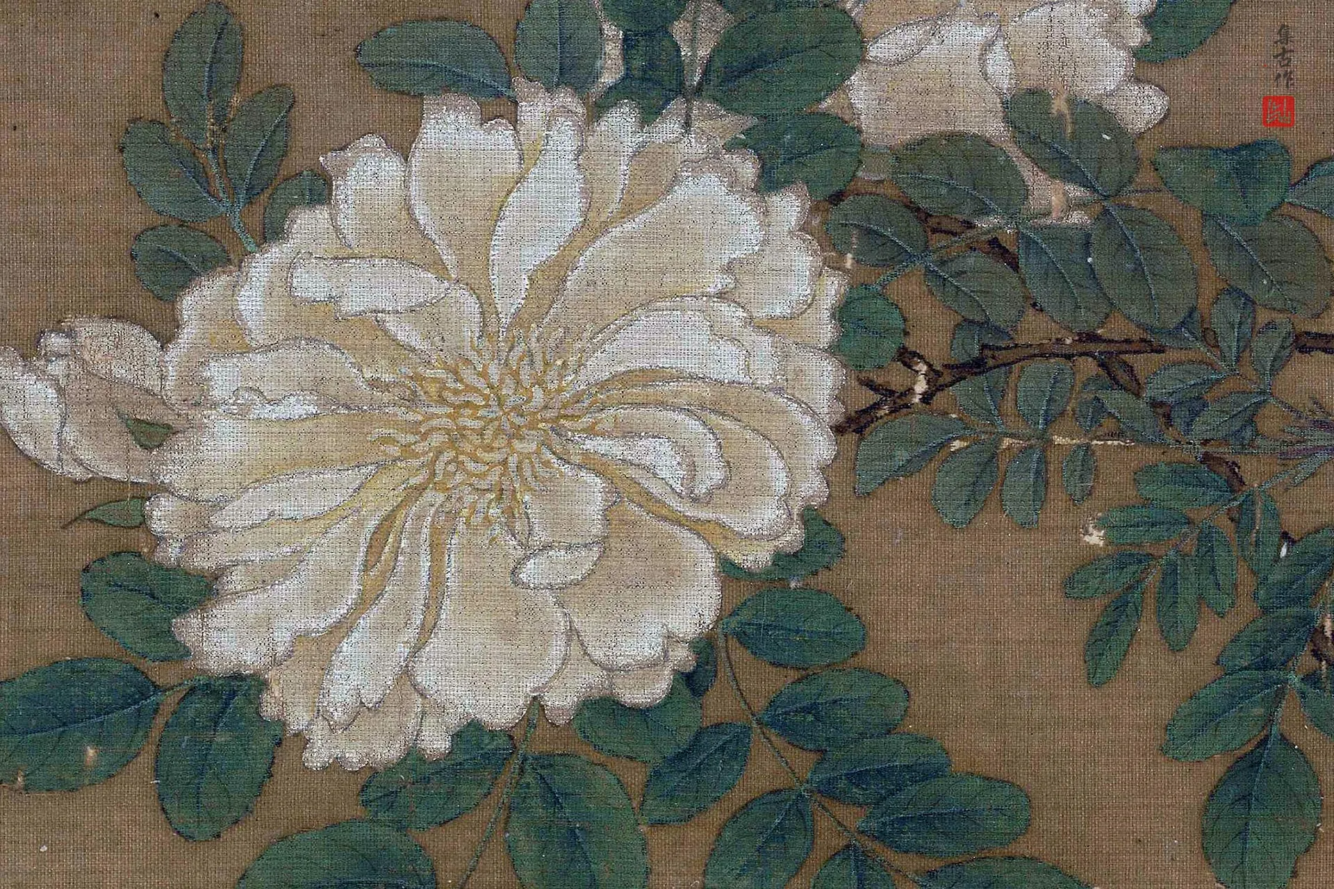 马远花卉《白蔷薇图》高清大图局部 (1)