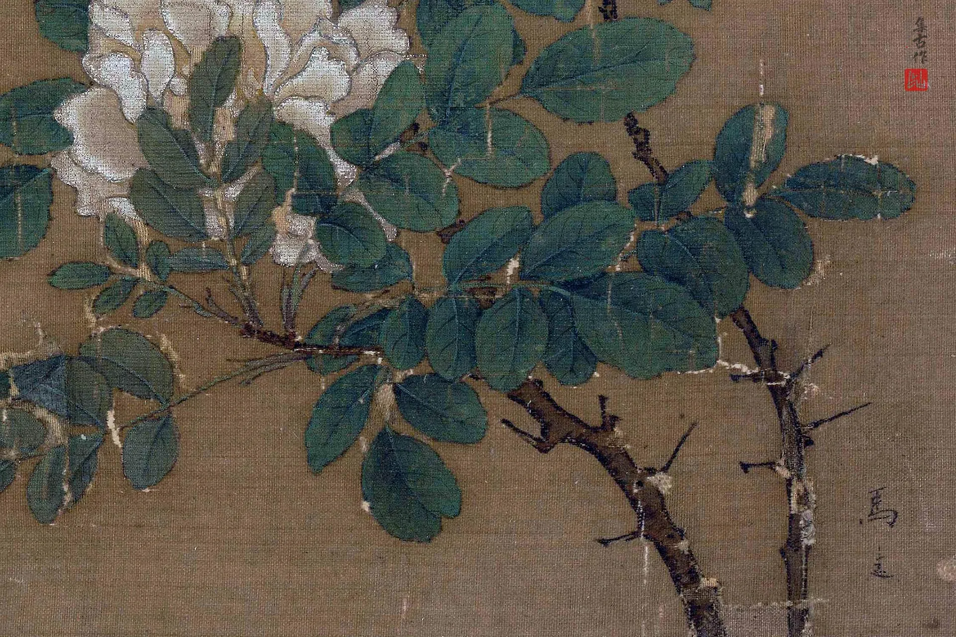 马远花卉《白蔷薇图》高清大图局部 (3)