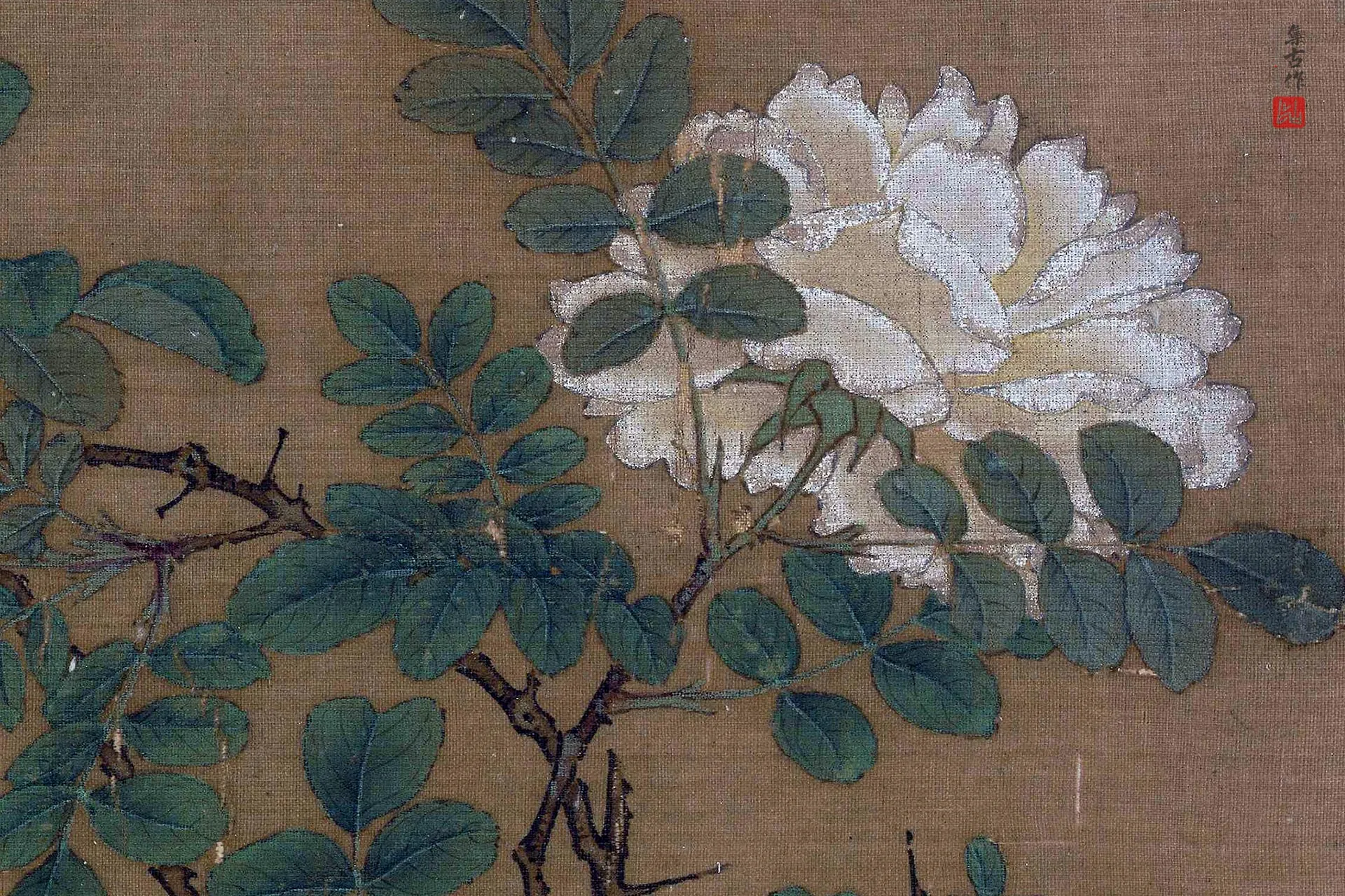 马远花卉《白蔷薇图》高清大图局部 (2)