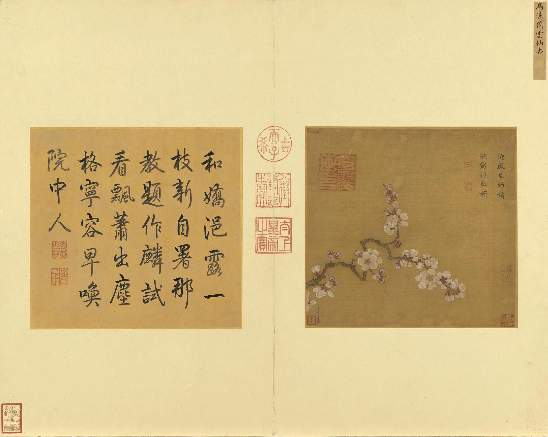 马远《倚云仙杏图》页