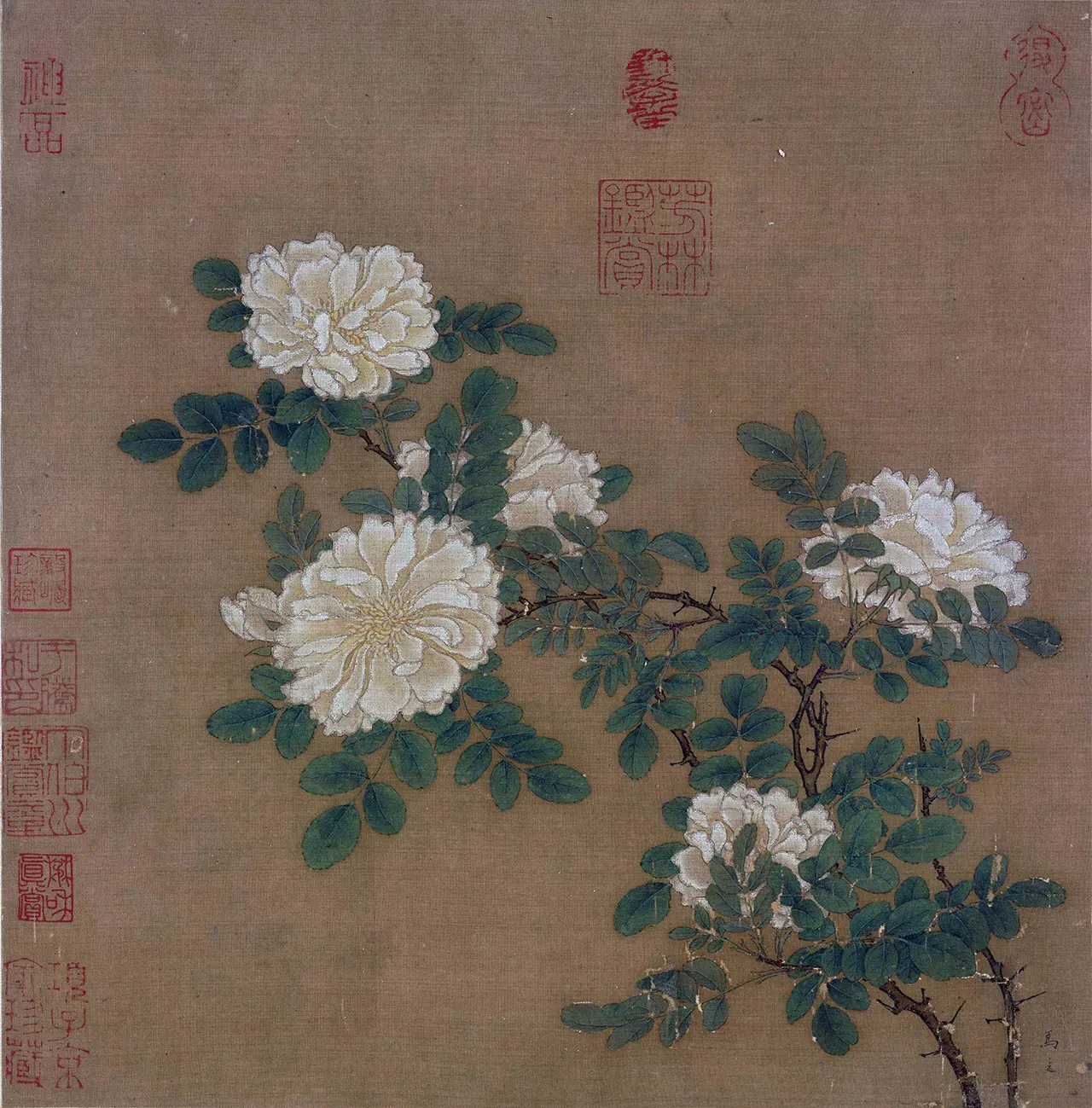 马远花卉《白蔷薇图》页