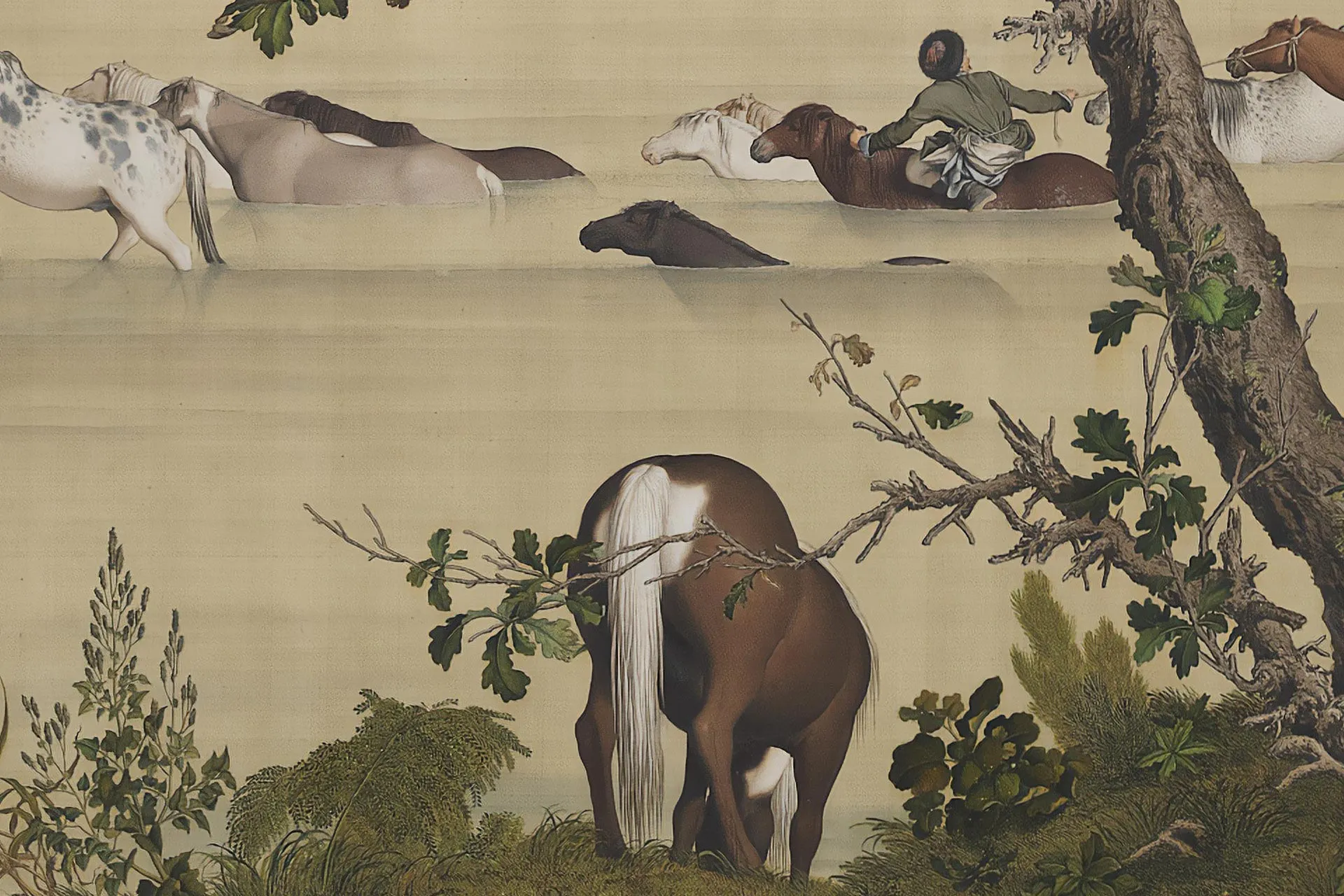 清郎世宁《百骏图卷》局部 (7)