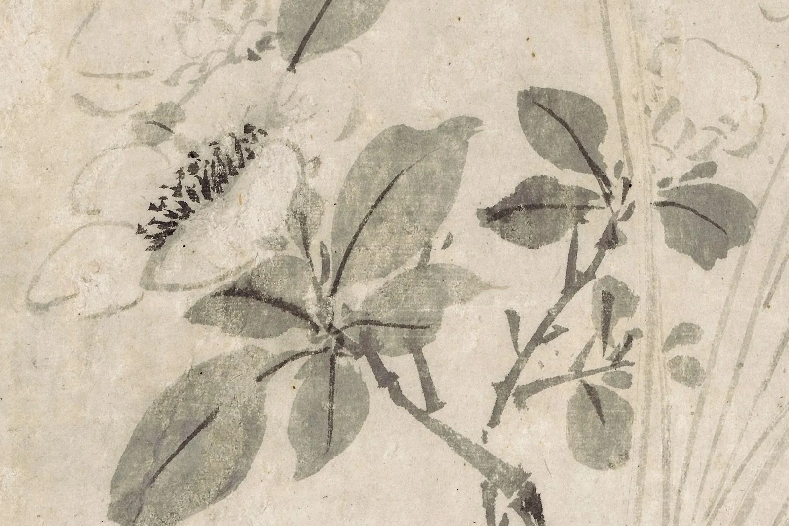 陈淳书画花卉轴局部 (1)