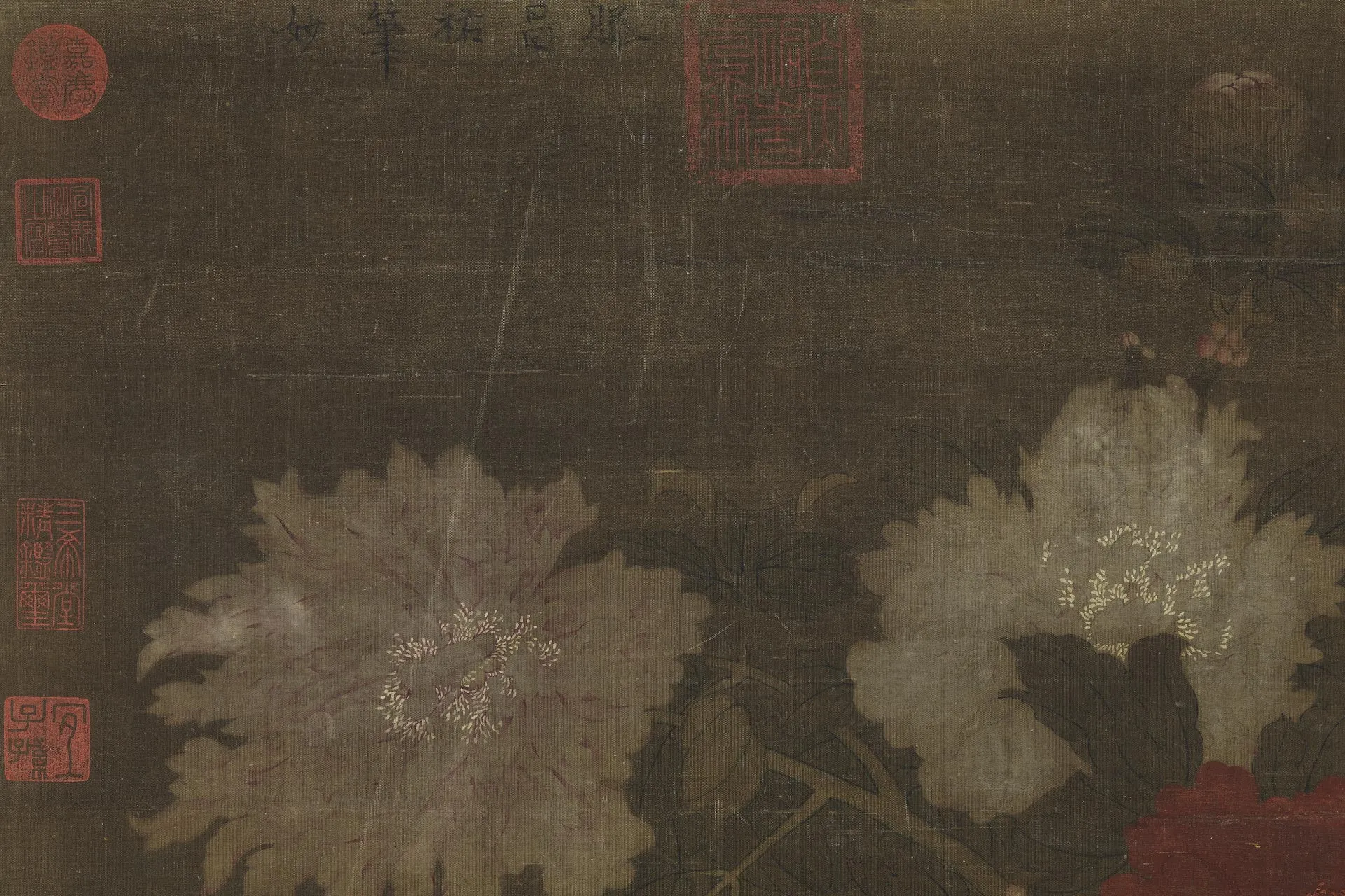 传滕昌祐《牡丹图》局部 (1)