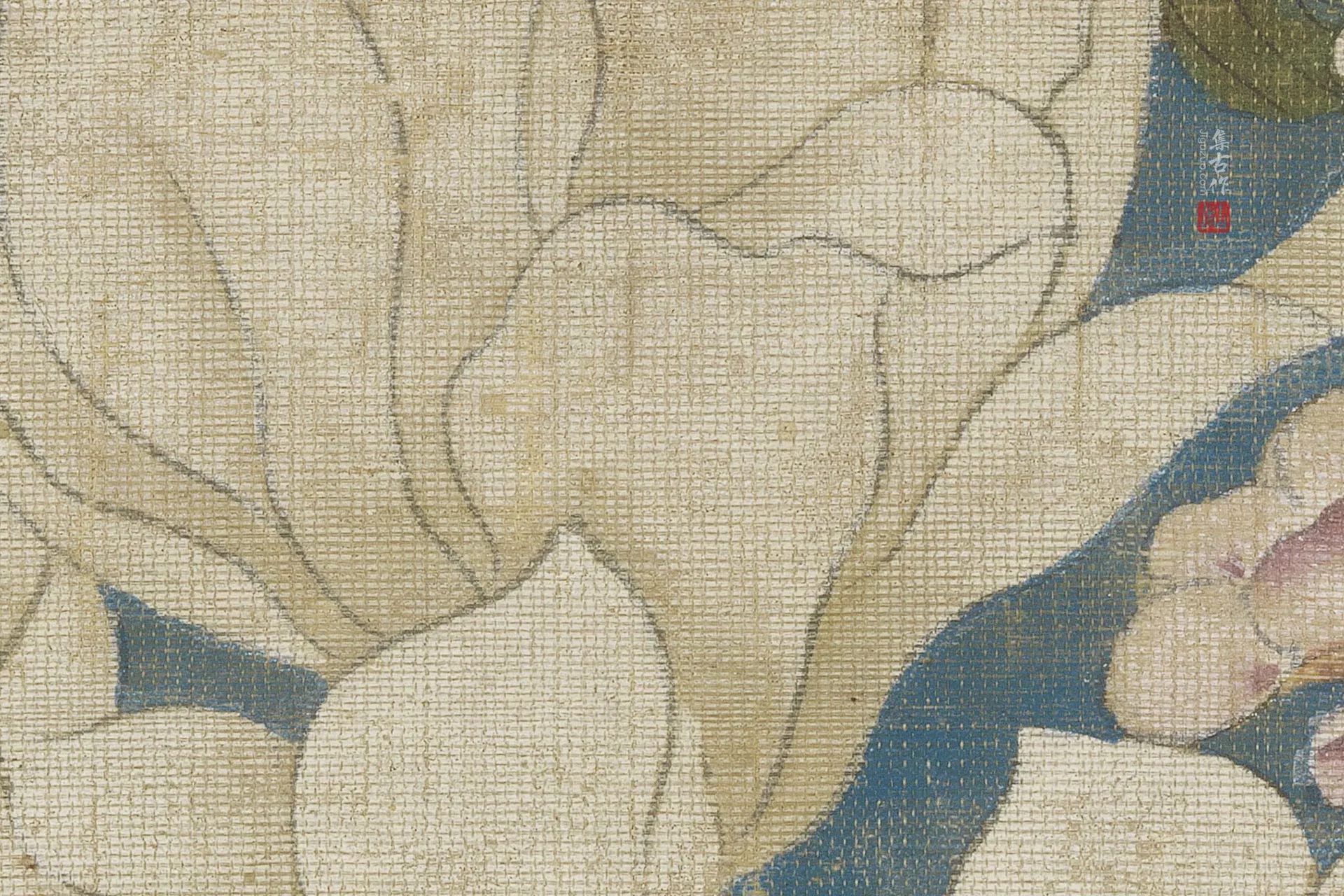 传徐熙花鸟《玉堂富贵图》超高清大图局部 (9)