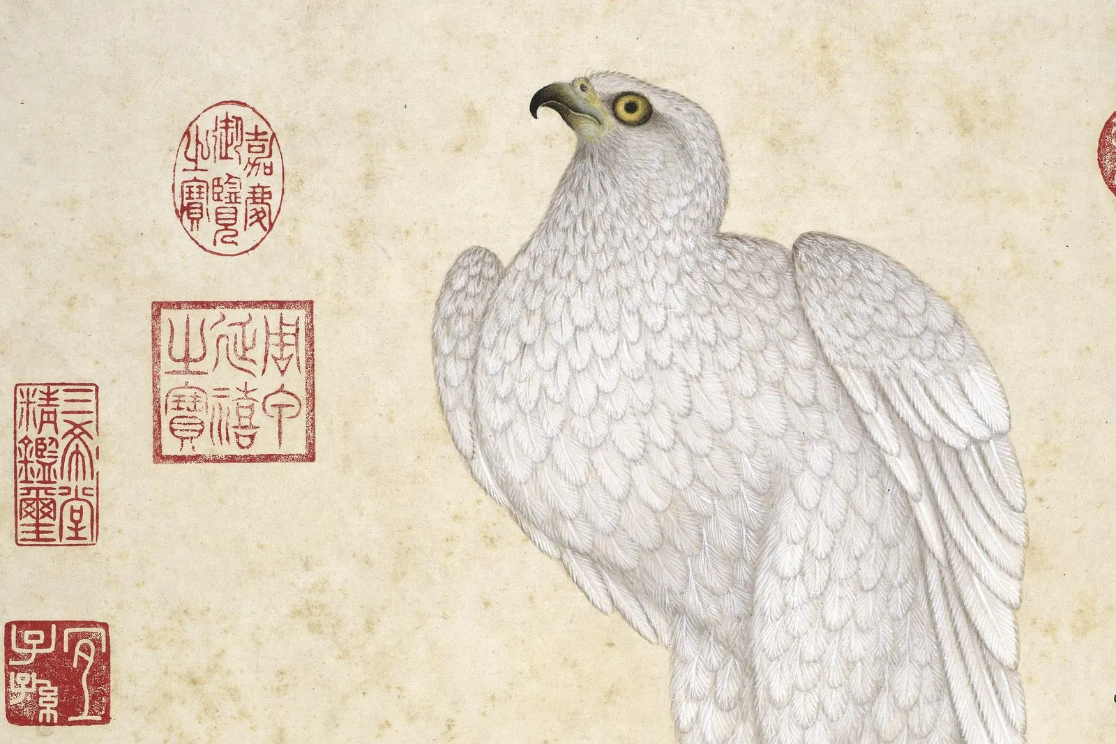 冯宁画鹰《画赏叶瑶精册》局部 (1)
