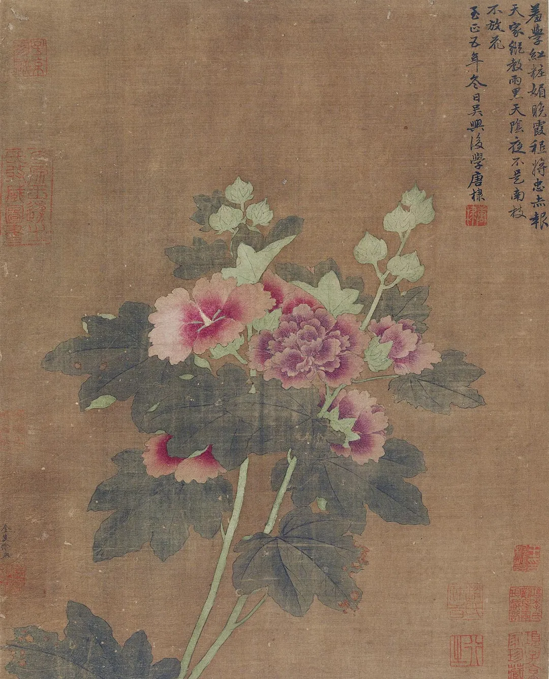 传徐熙花卉画《蜀葵图》轴