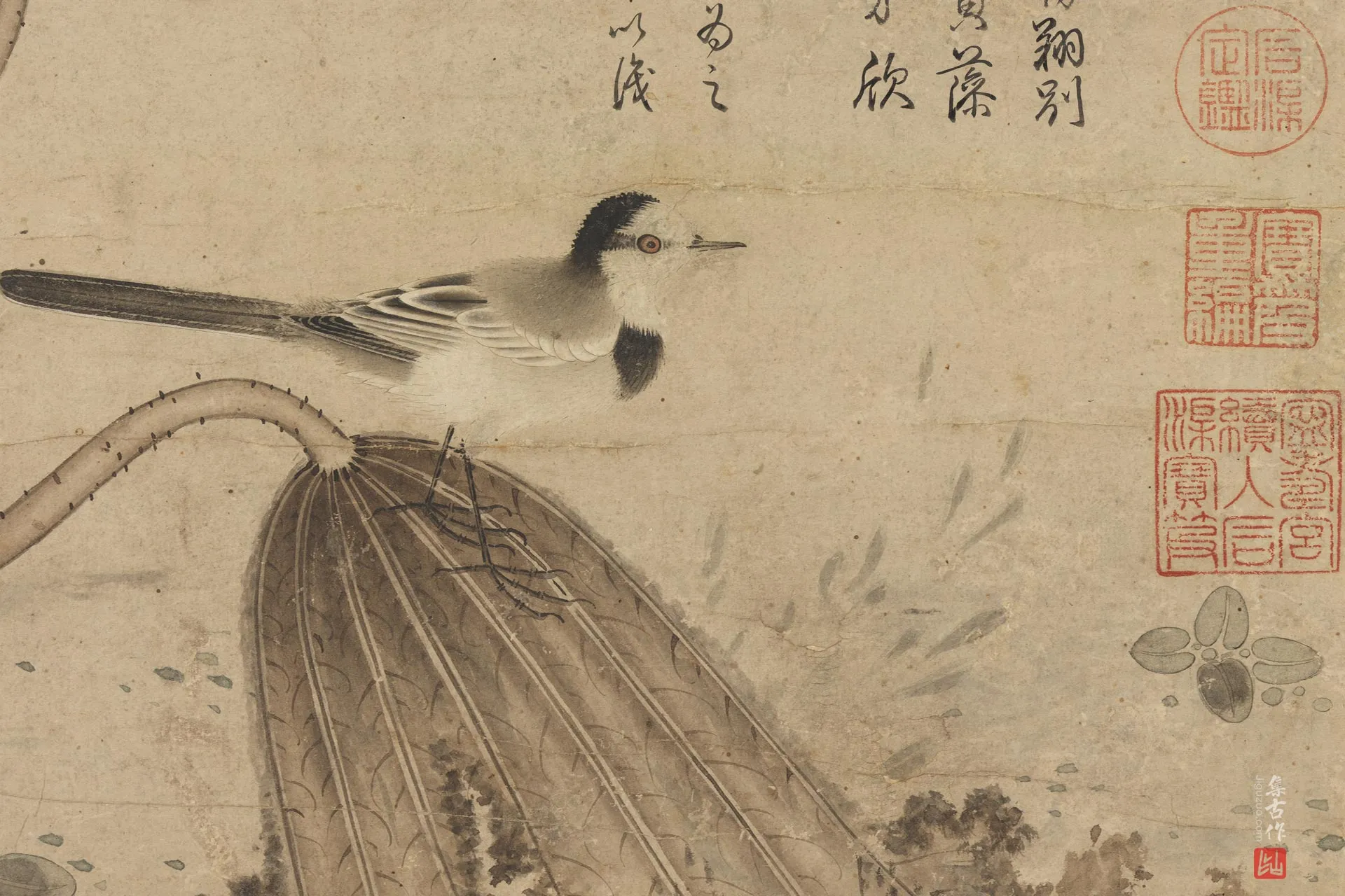 赵孟頫水墨花鸟《临黄筌莲塘图》局部 (1)