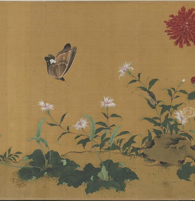 传滕昌祐花卉画《蝶戏长春图》卷_06