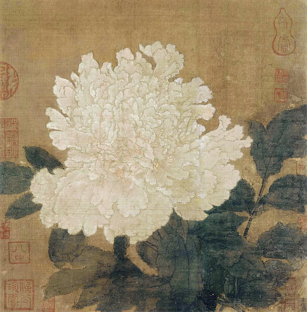 传徐熙《白牡丹图》