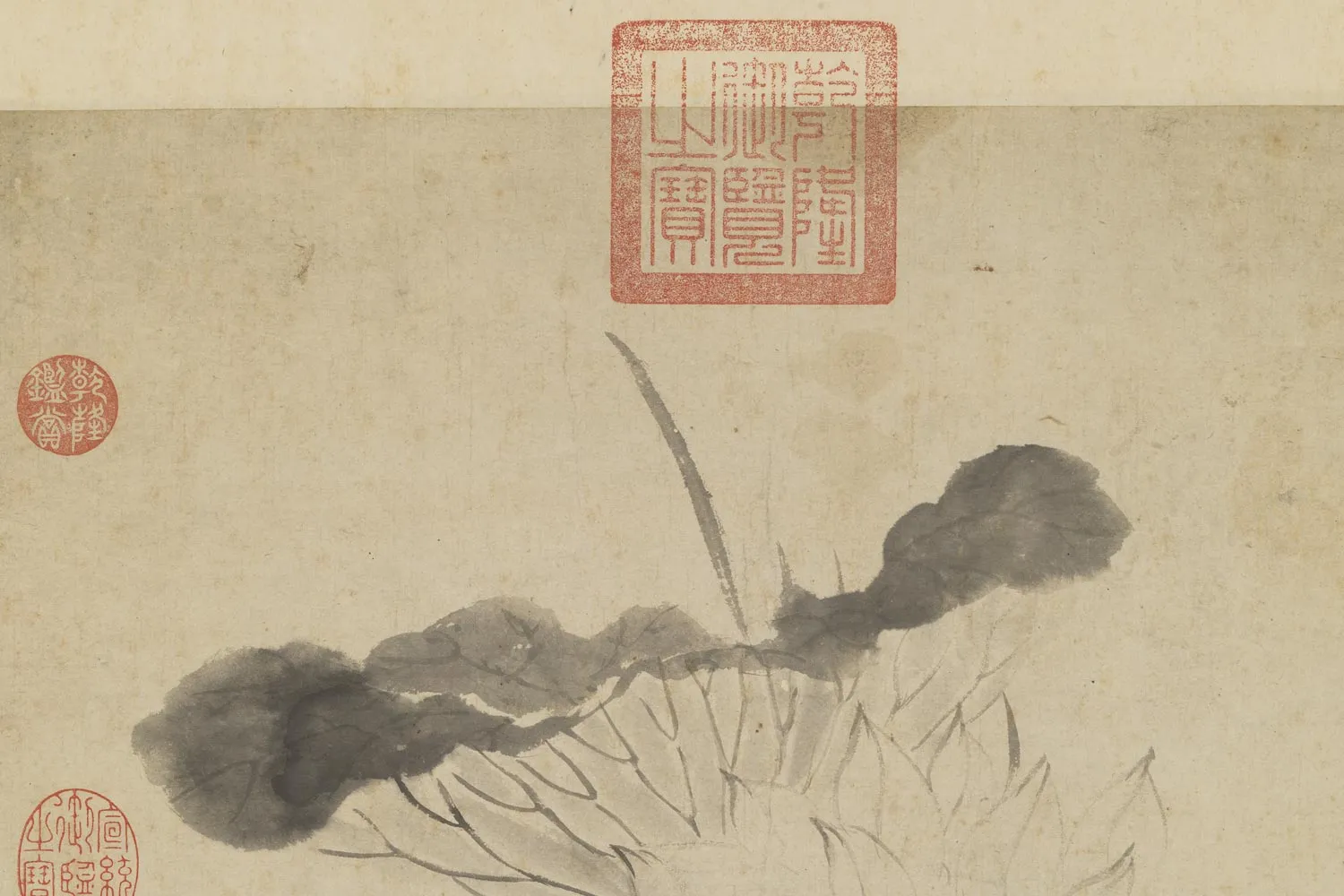 陈淳《瓶荷写生图》局部 (2
