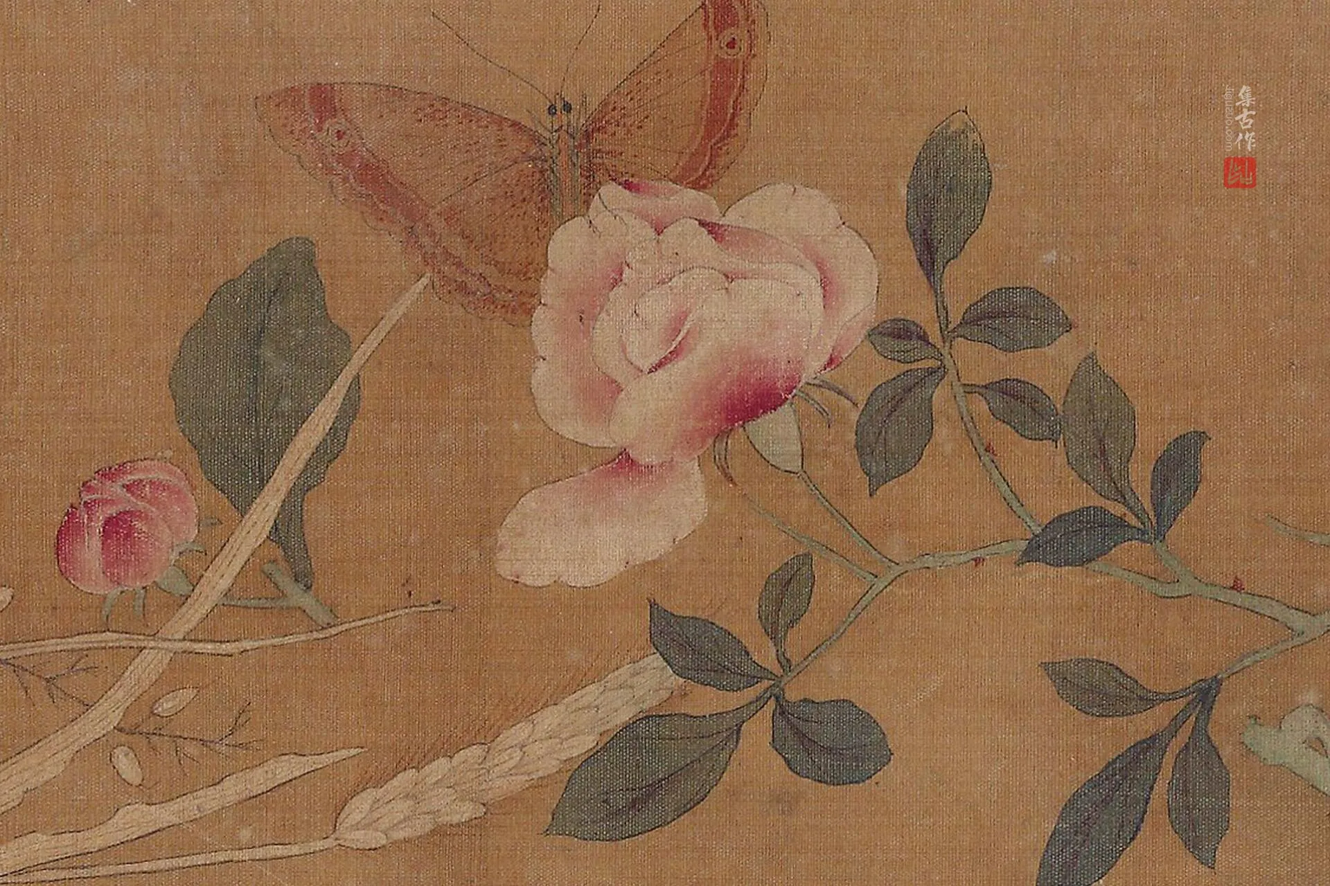 传徐熙《花果贝壳草虫图》高清大图局部 (3)