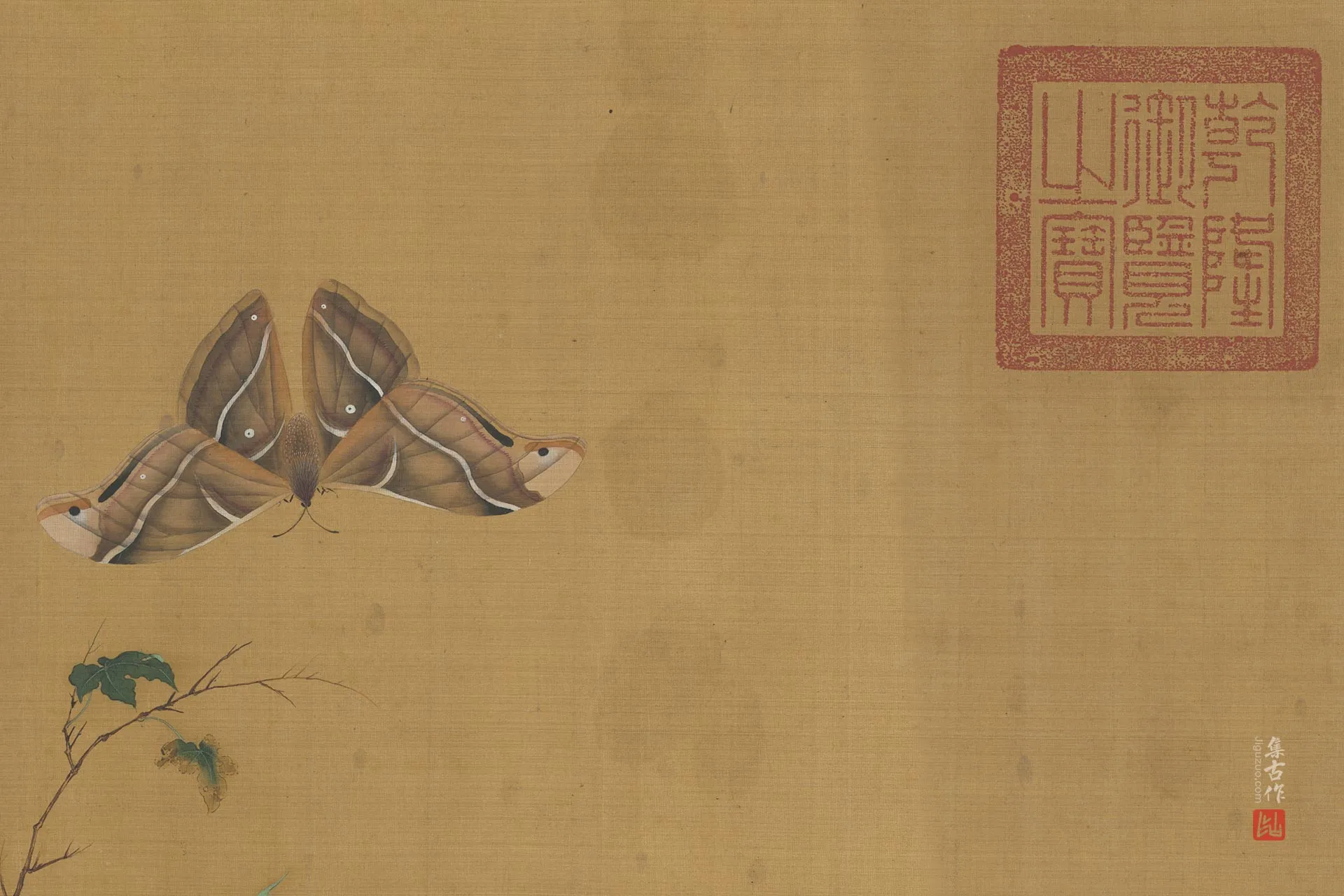 传滕昌祐花卉画《蝶戏长春图》局部 (1)