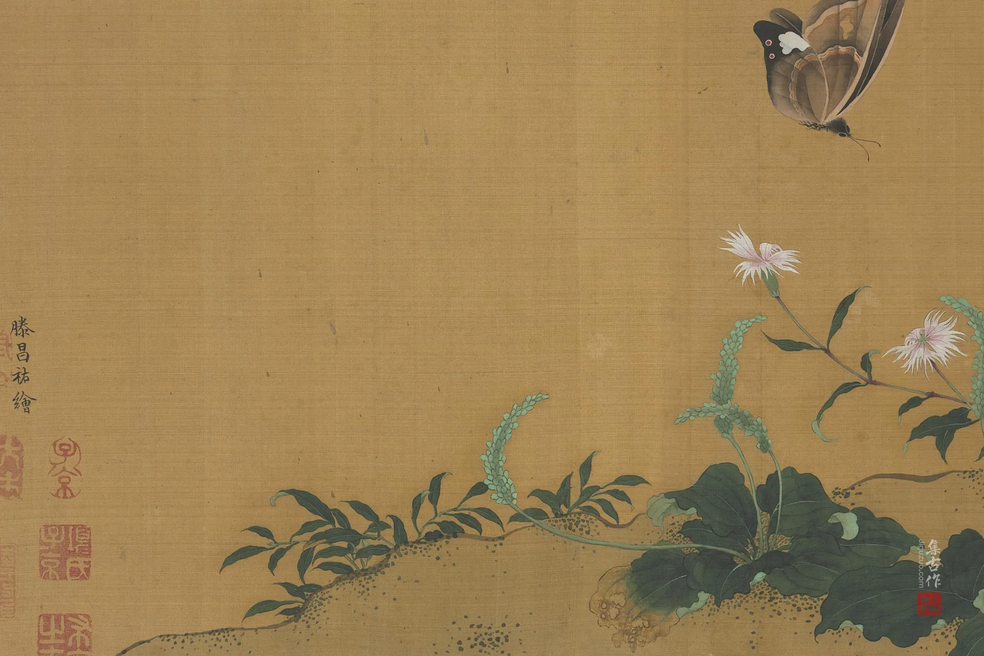 传滕昌祐花卉画《蝶戏长春图》局部 (4)