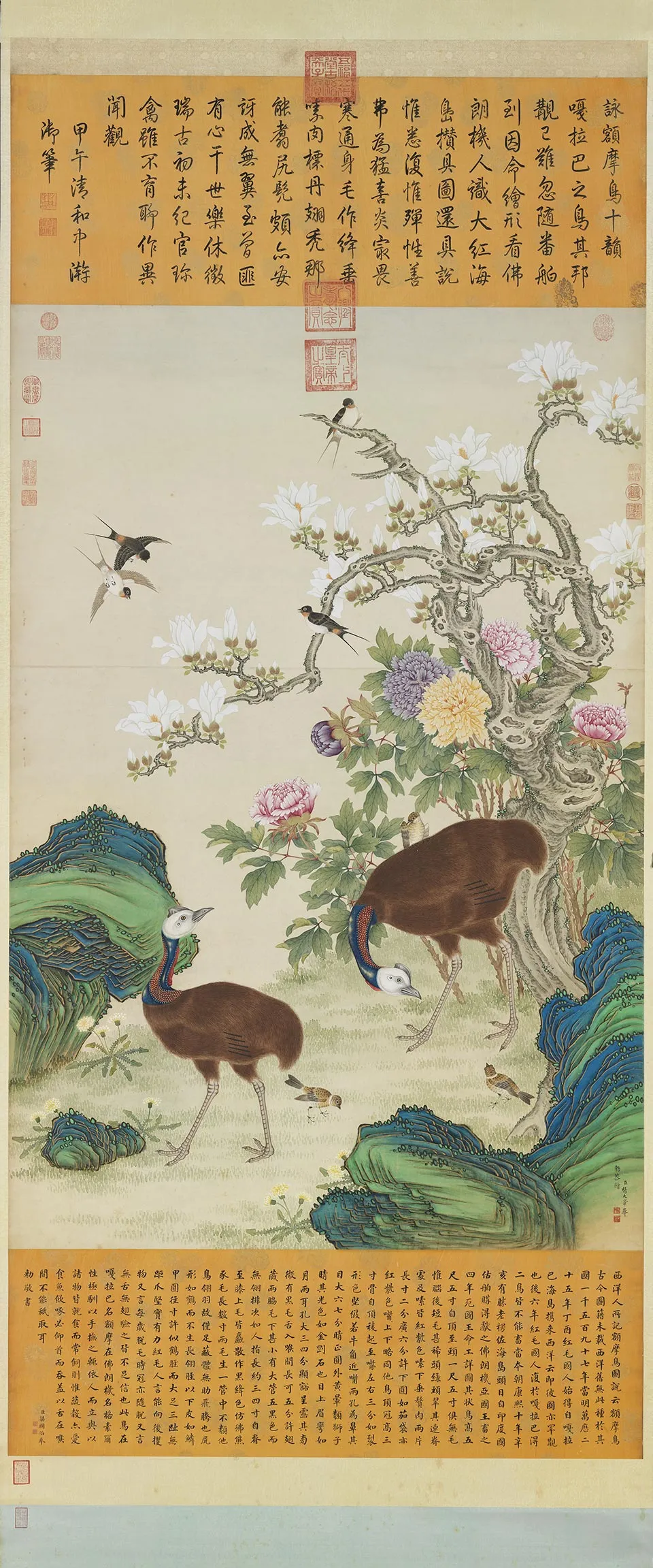 杨大章花鸟画《额摩鸟图》轴