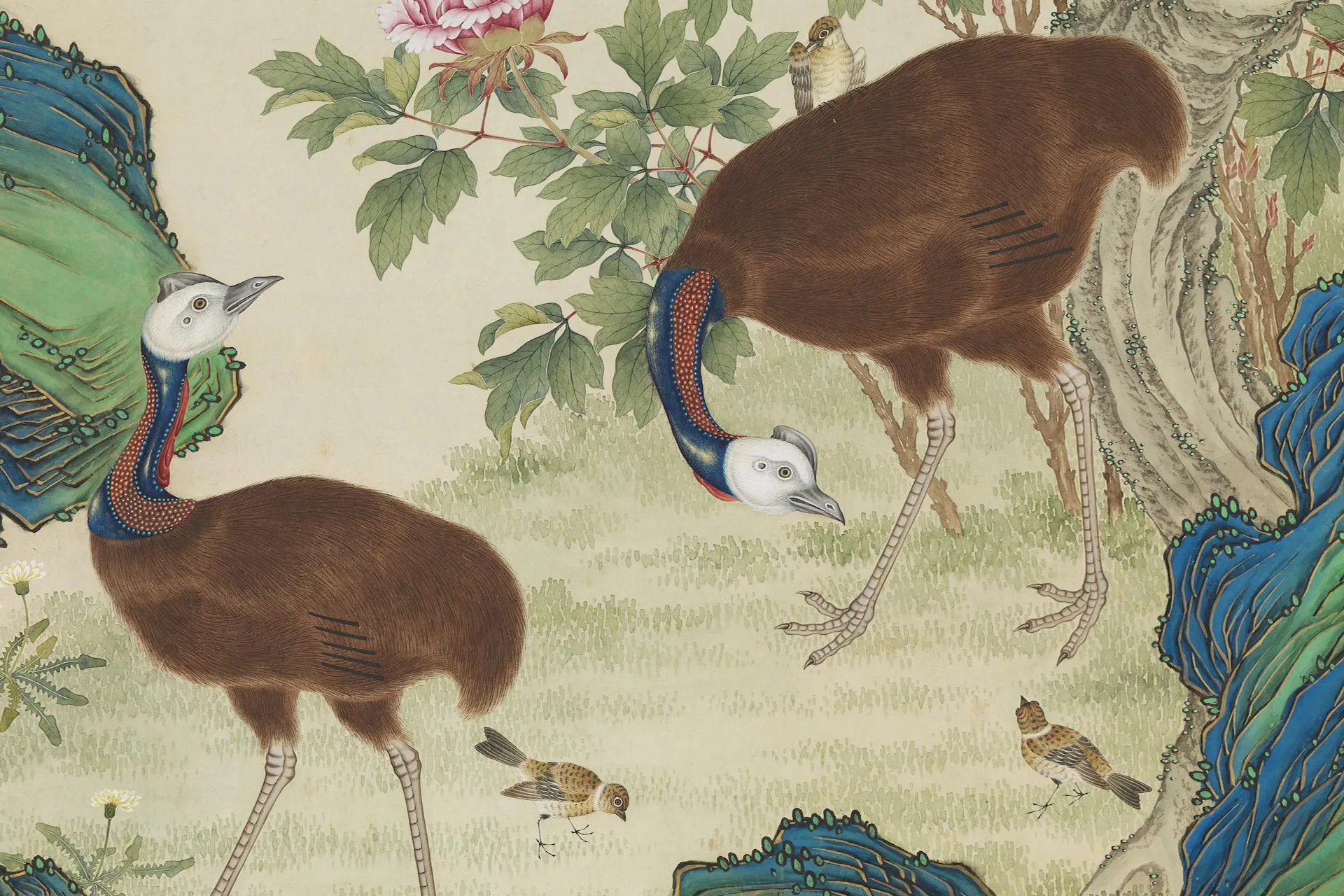 杨大章花鸟画《额摩鸟图》局部 (2)